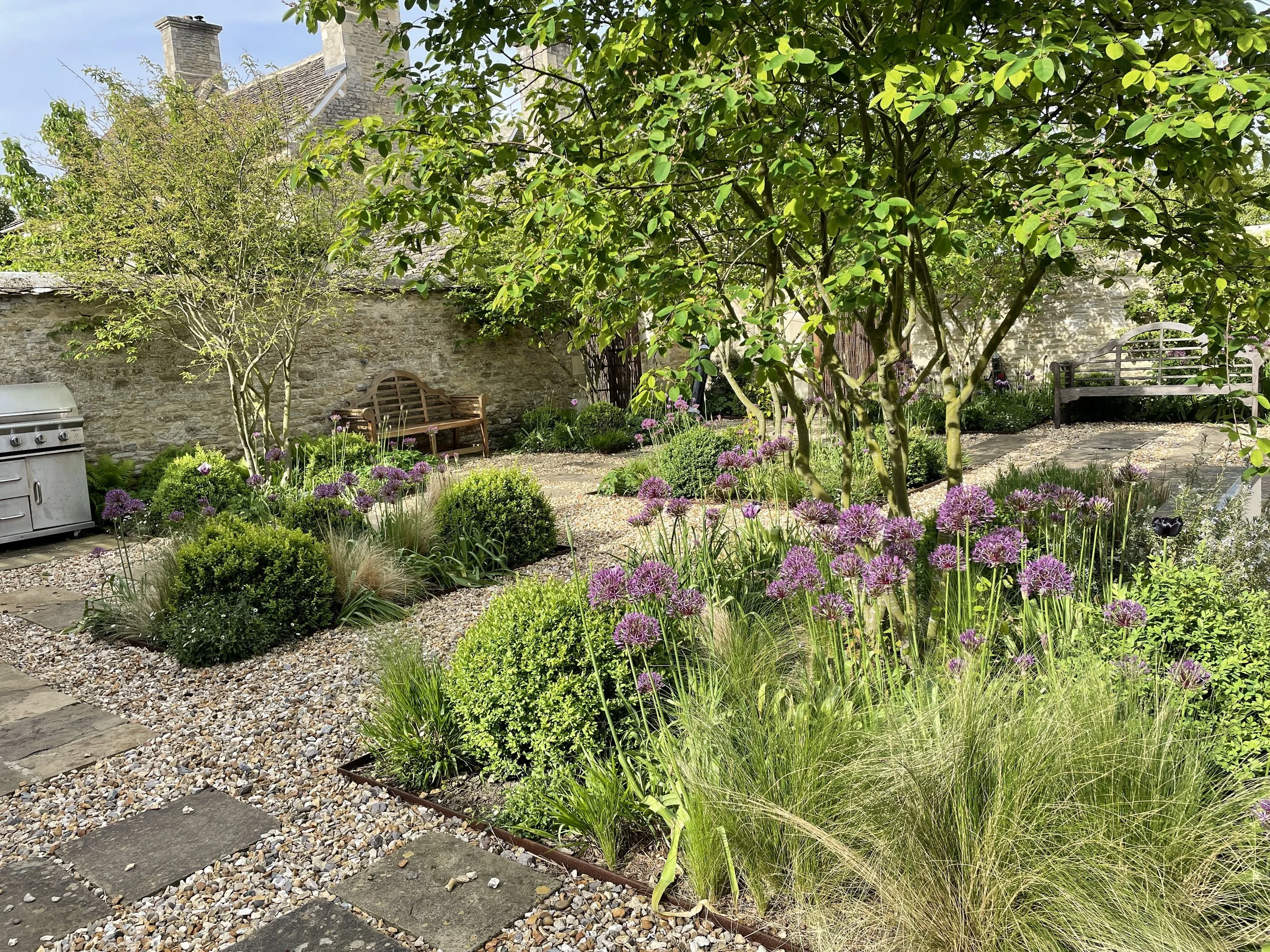 mass of alliums.jpeg