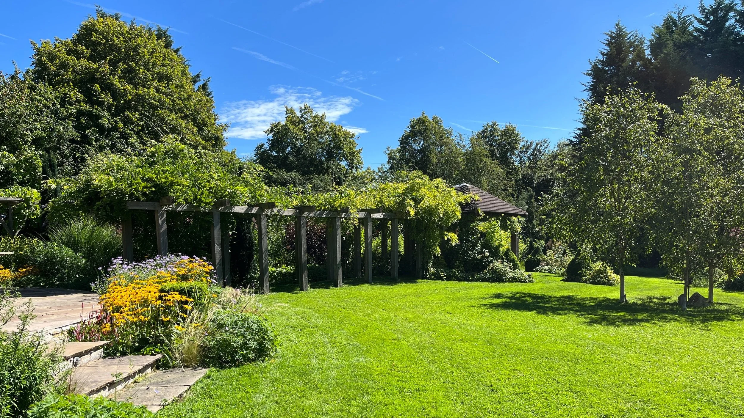 wisteria pergola.jpg