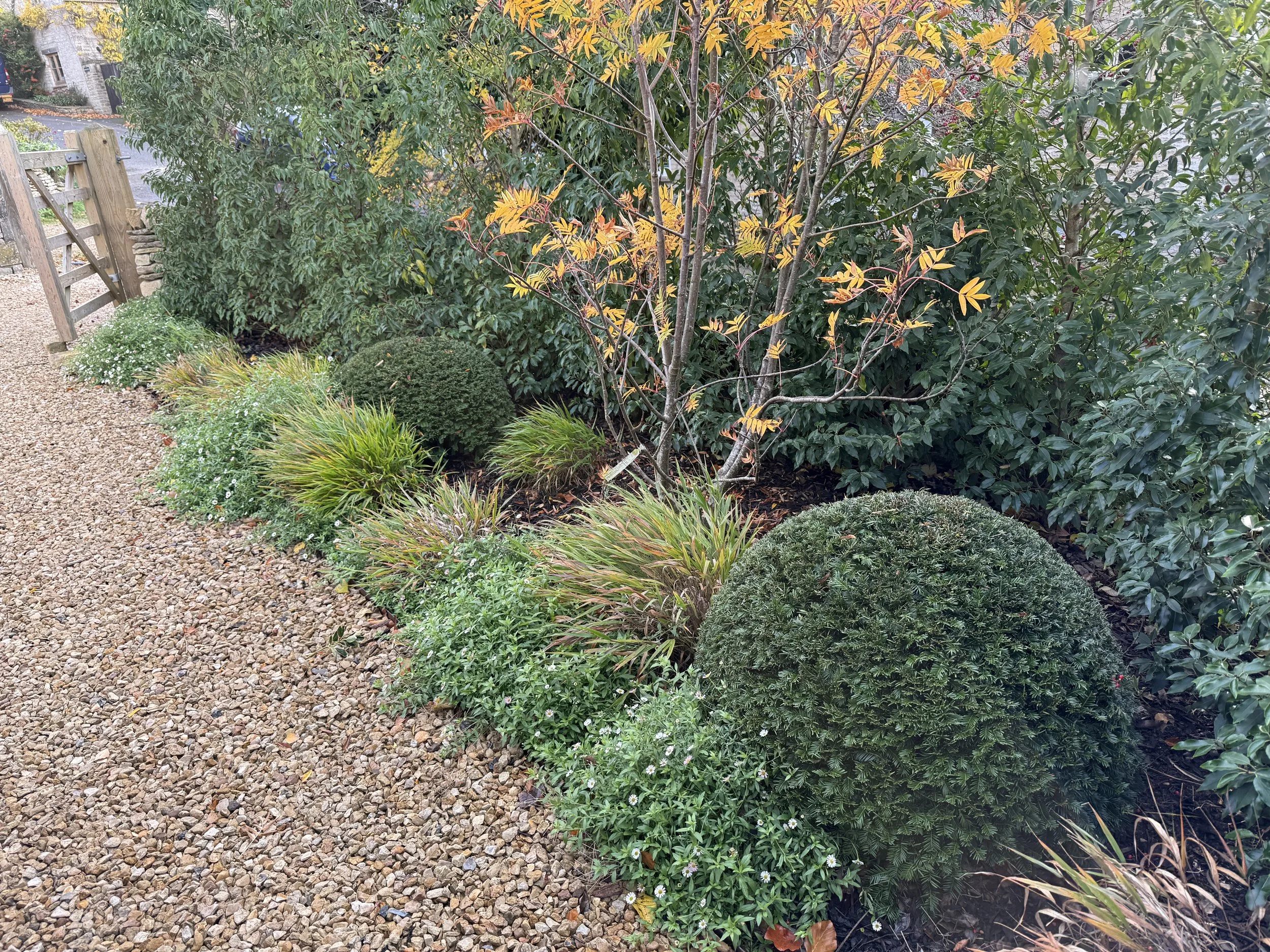 Planting for form and texture