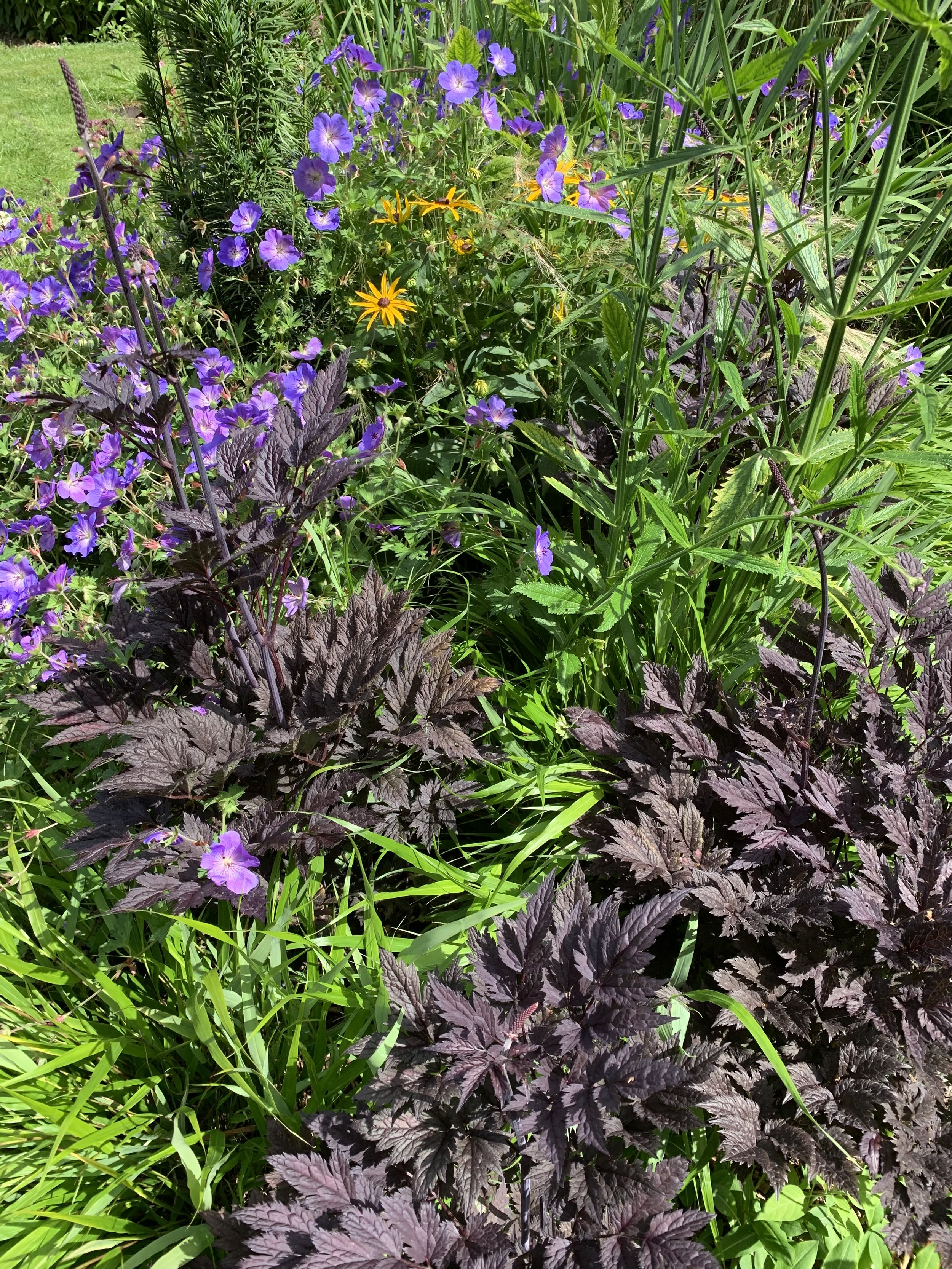 Texture and colour planting