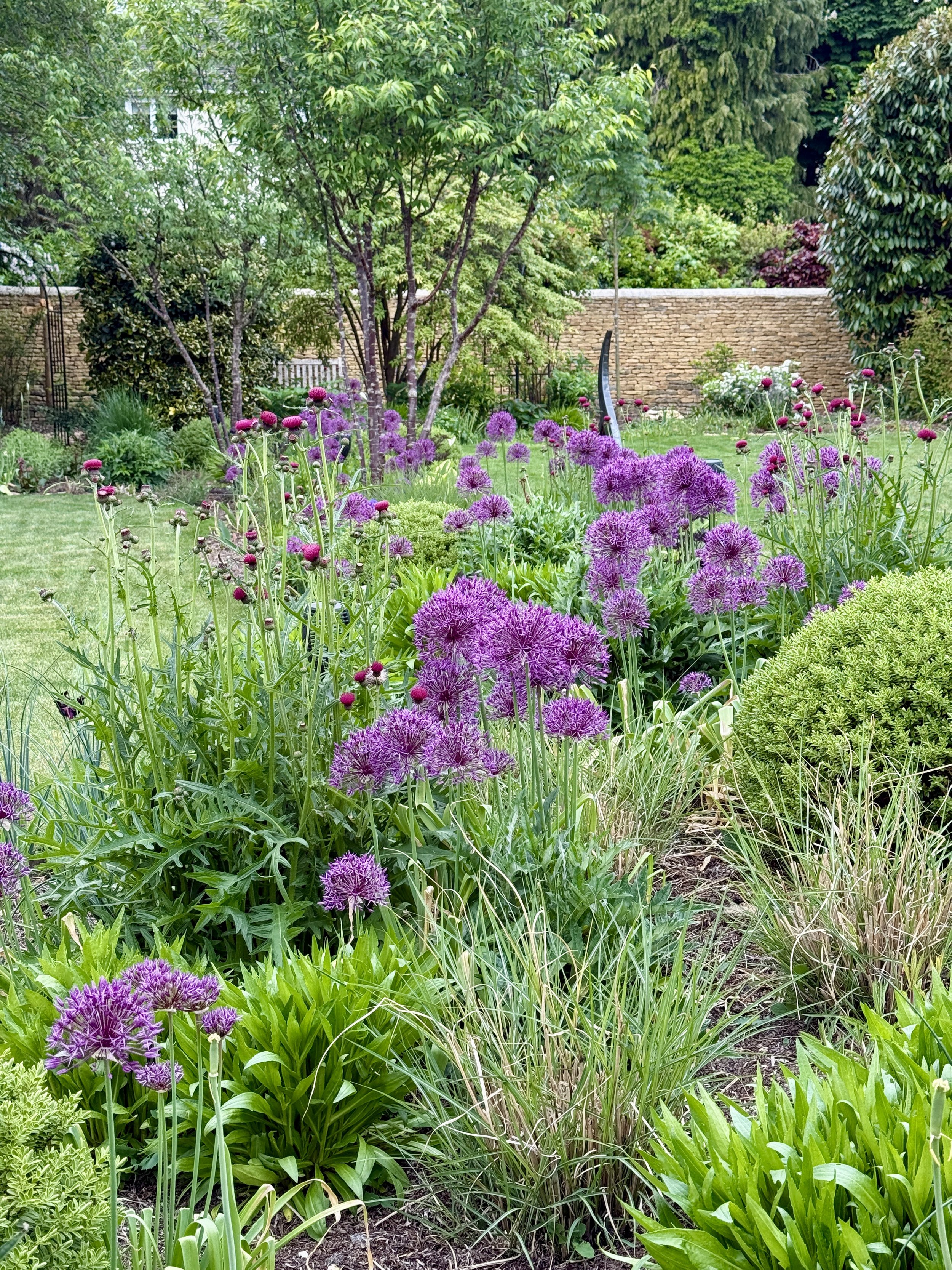 Spring border