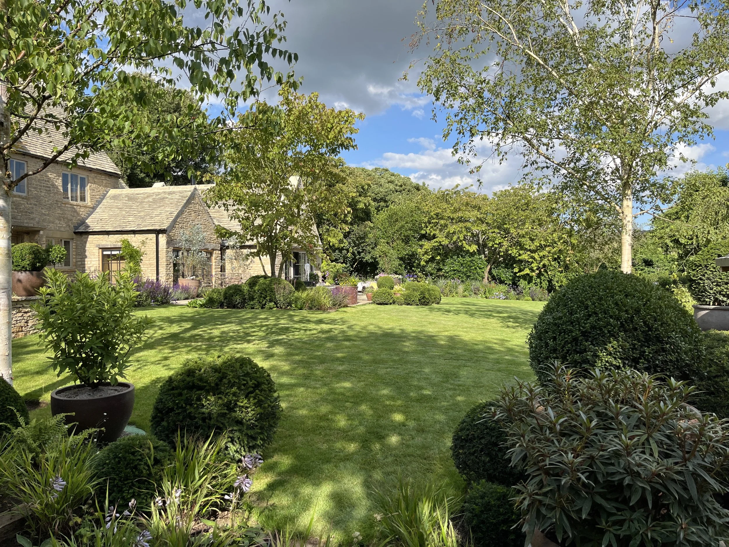 Strong topiary forms.jpeg