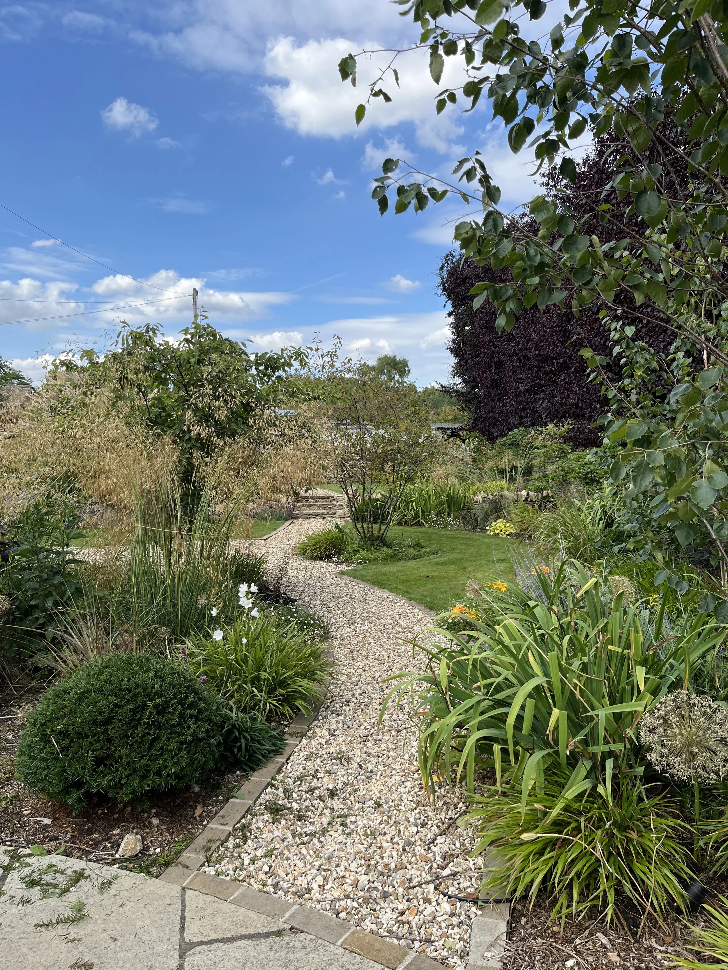 Winding pathway through planting.jpeg