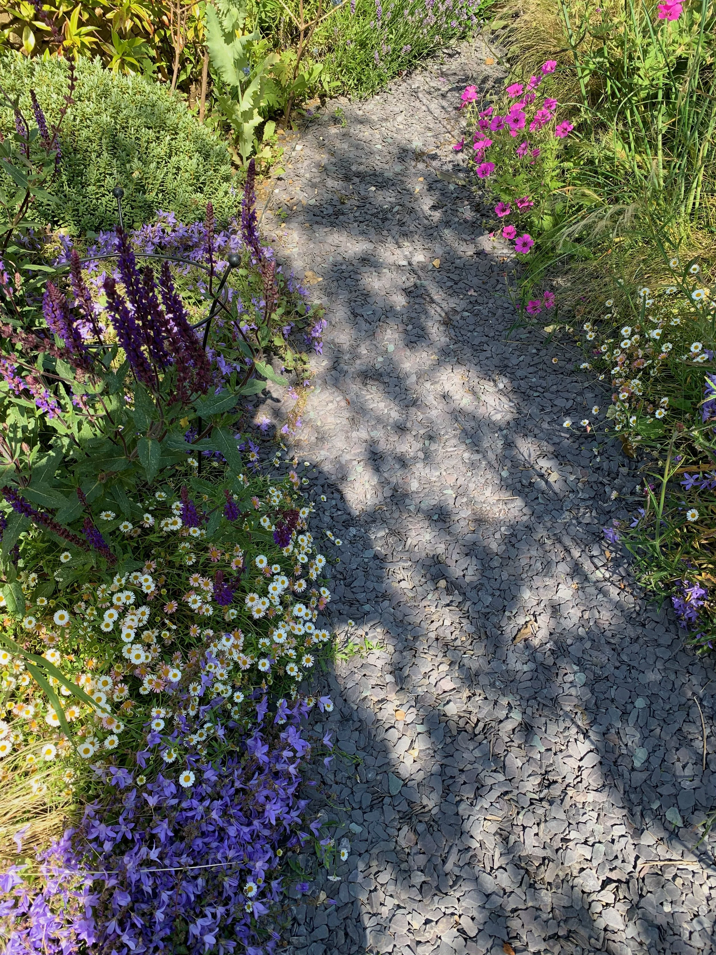 garden play with shadows.jpeg