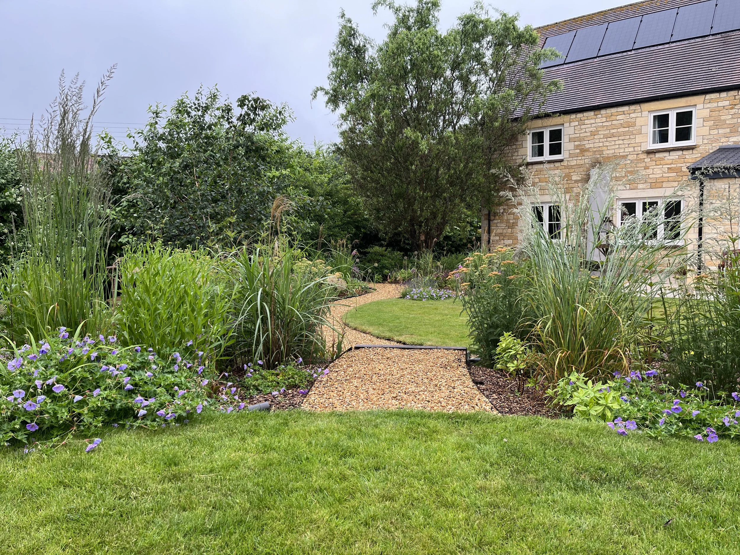 pathway through planting.jpeg