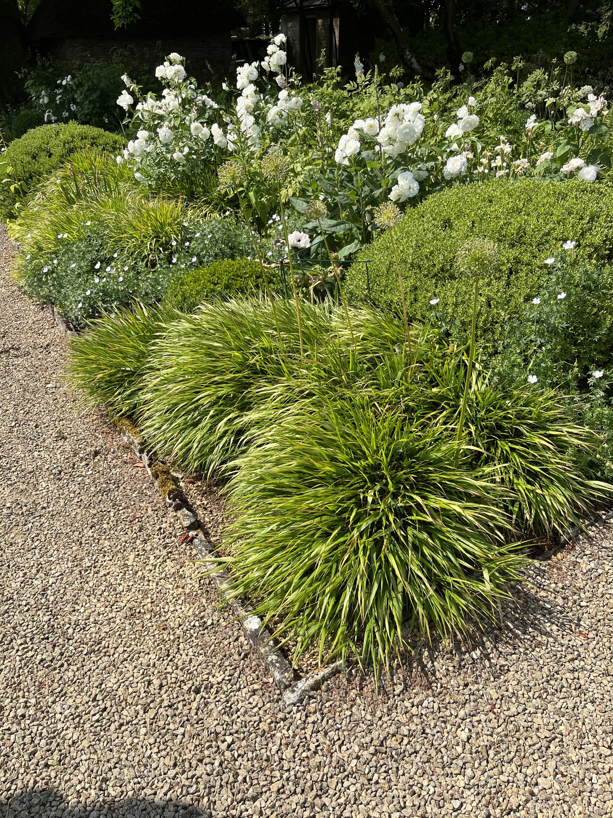 Green and white planting