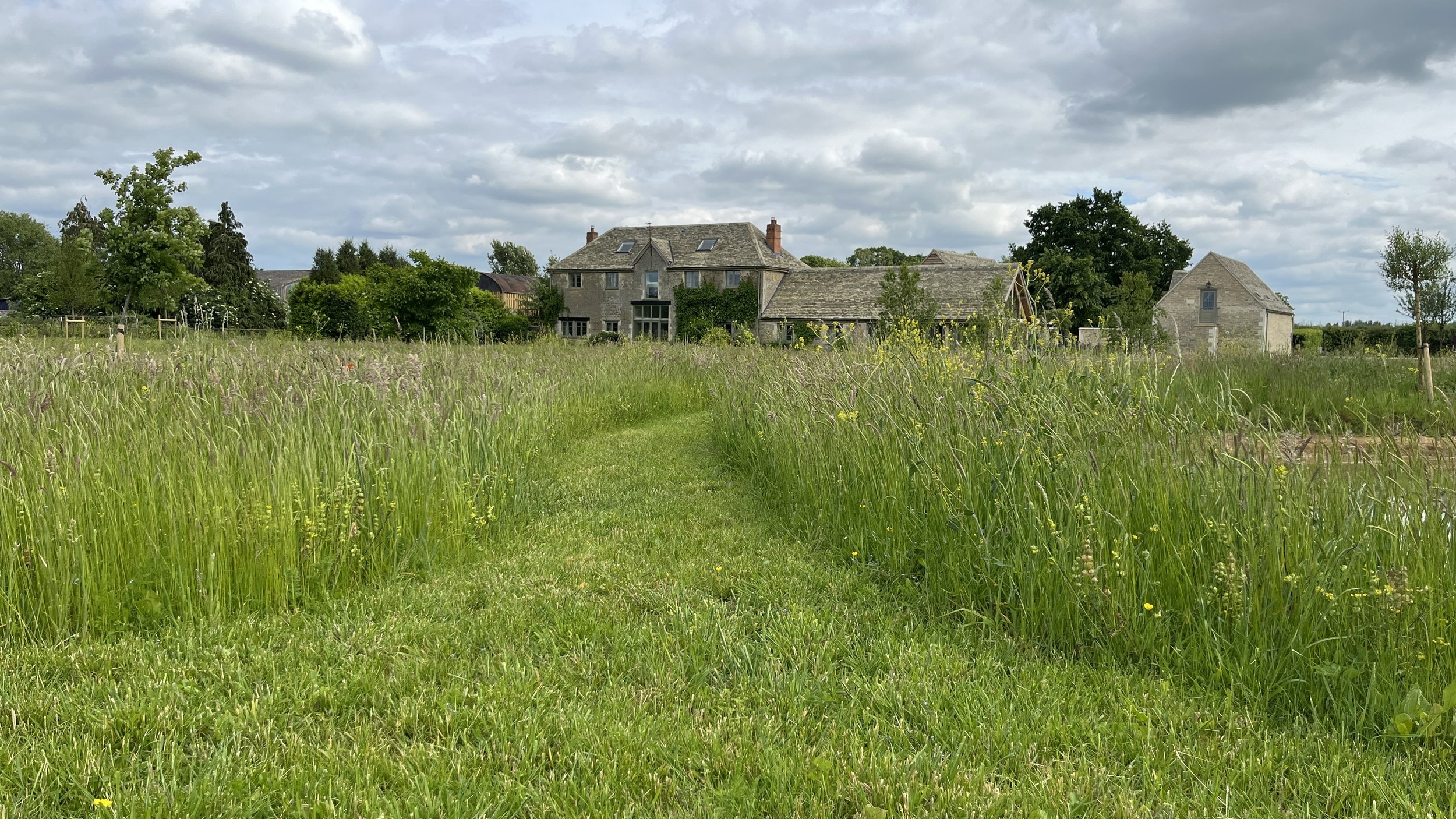 Mown path through cotswold meadow.jpeg