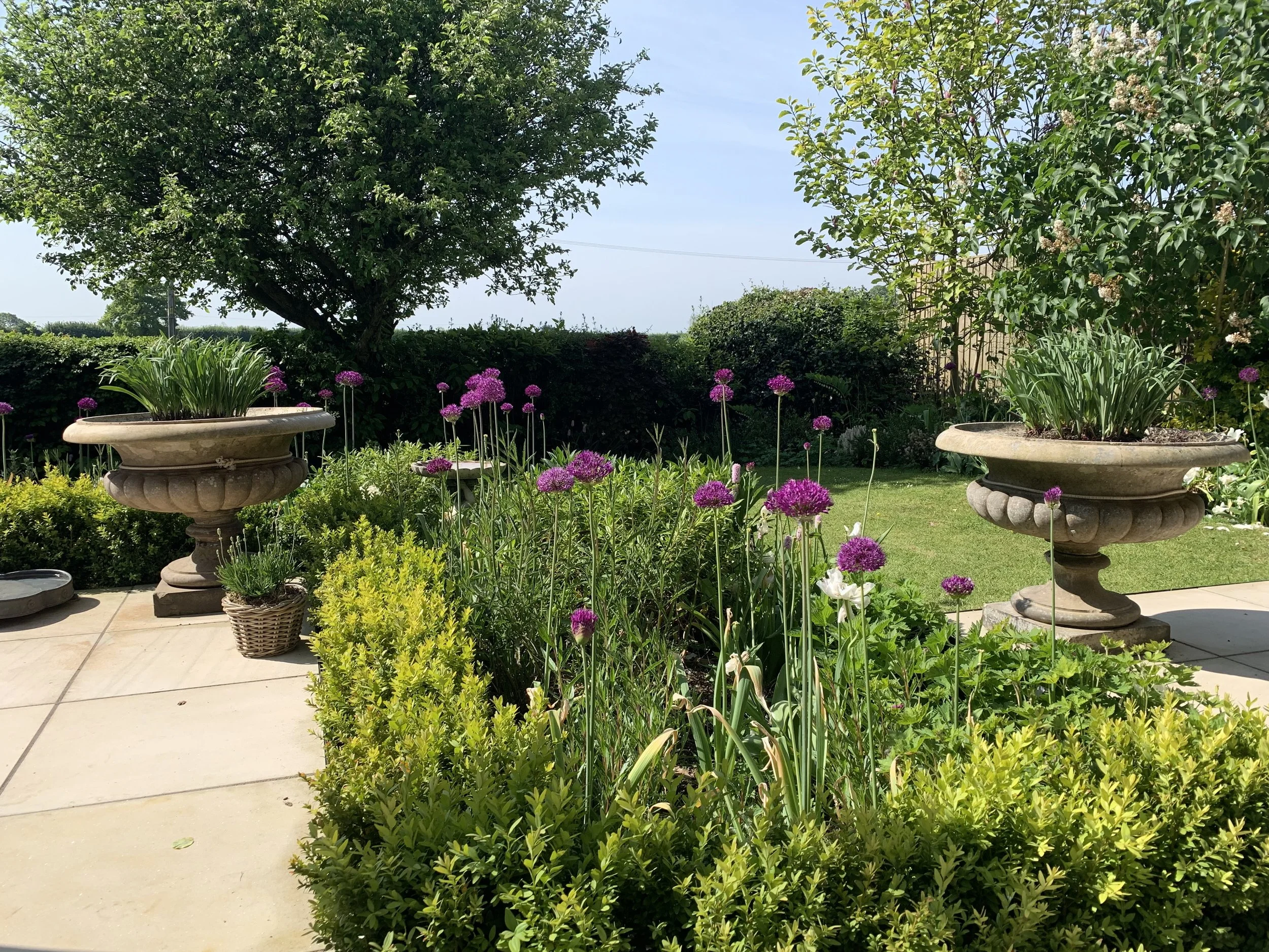 Box hedging and urns