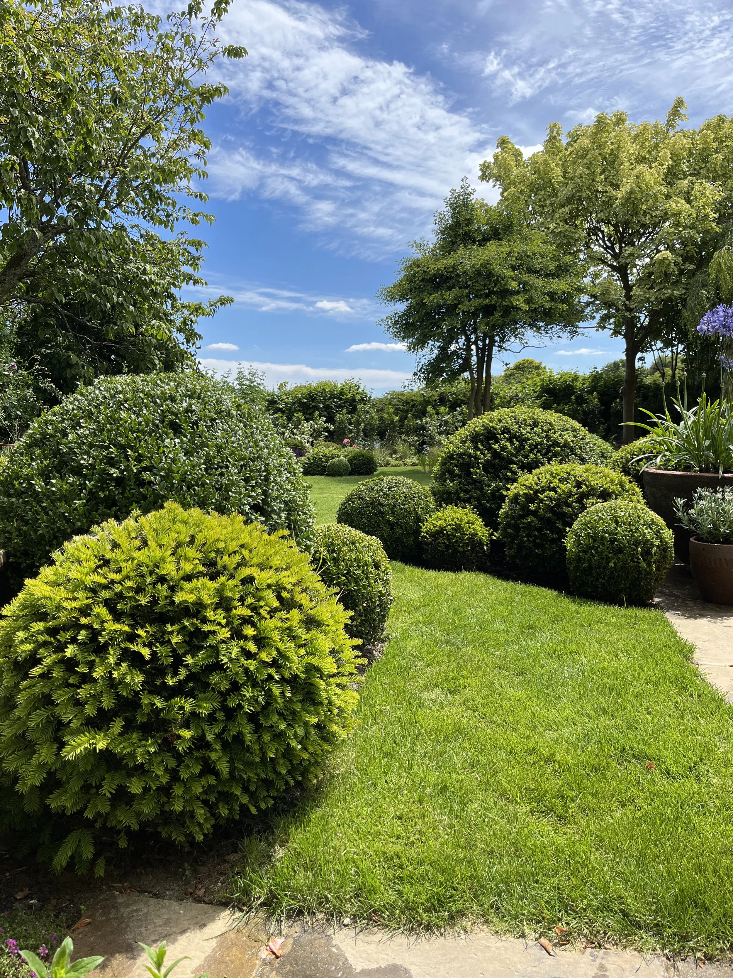A lush garden with various green shrubs, trees, and potted plants under a blue sky with scattered clouds.