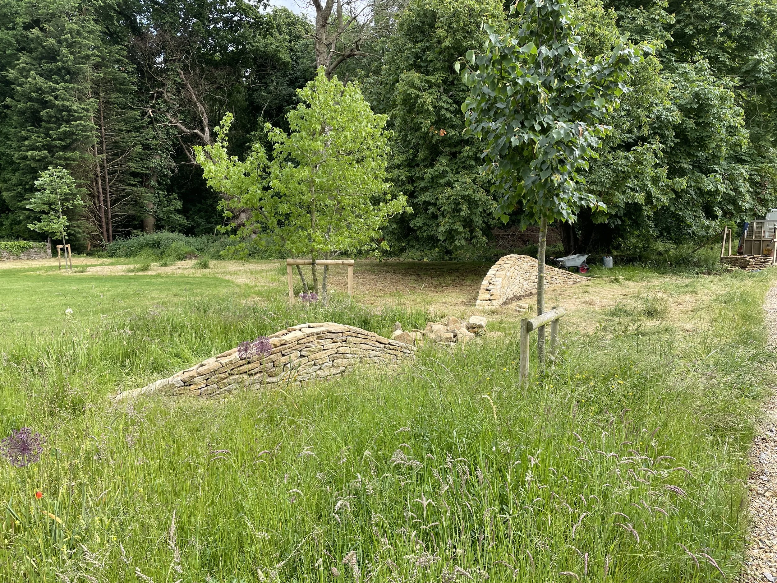 Serpentine wall feature