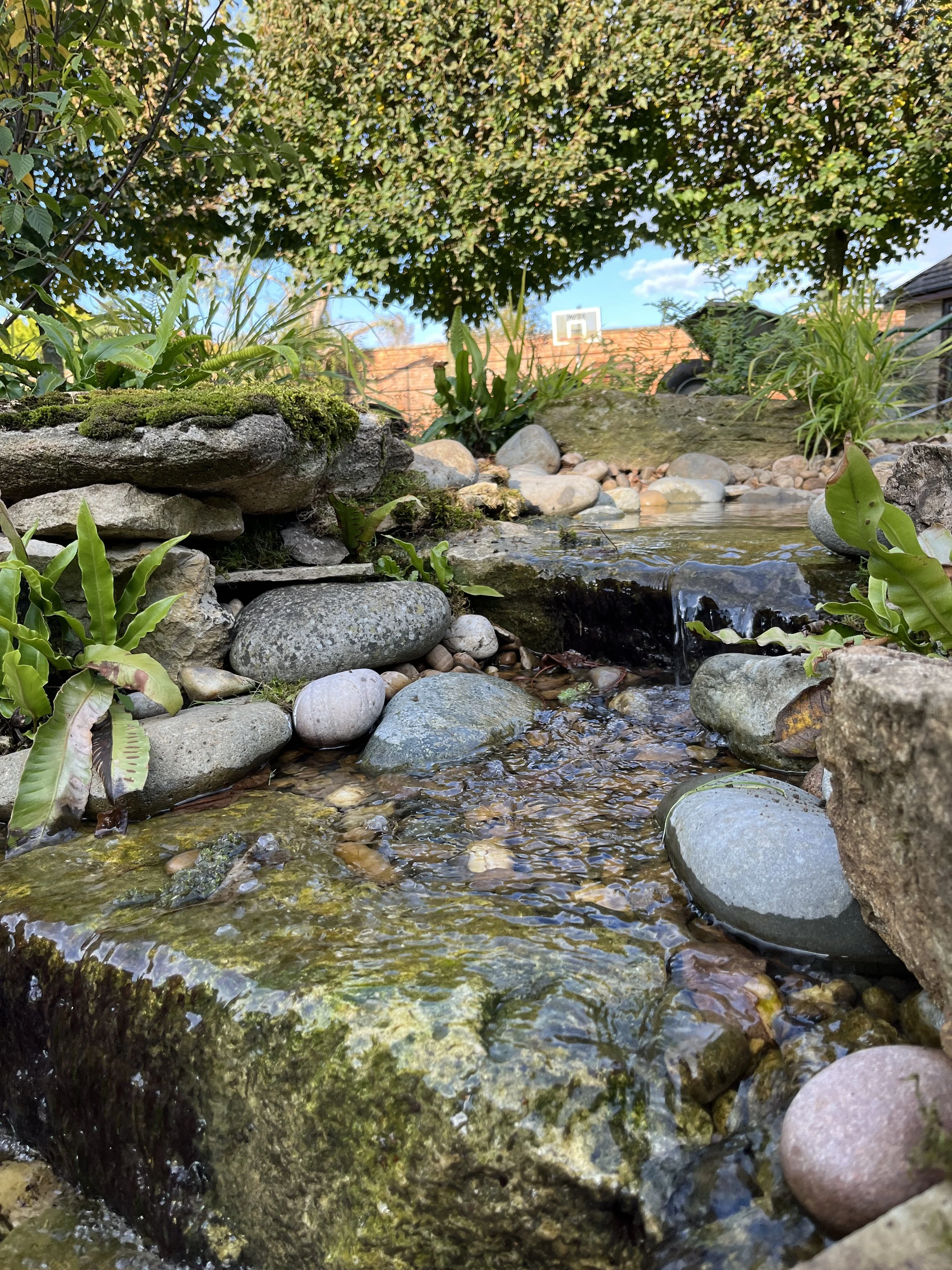 Naturalistic water feature