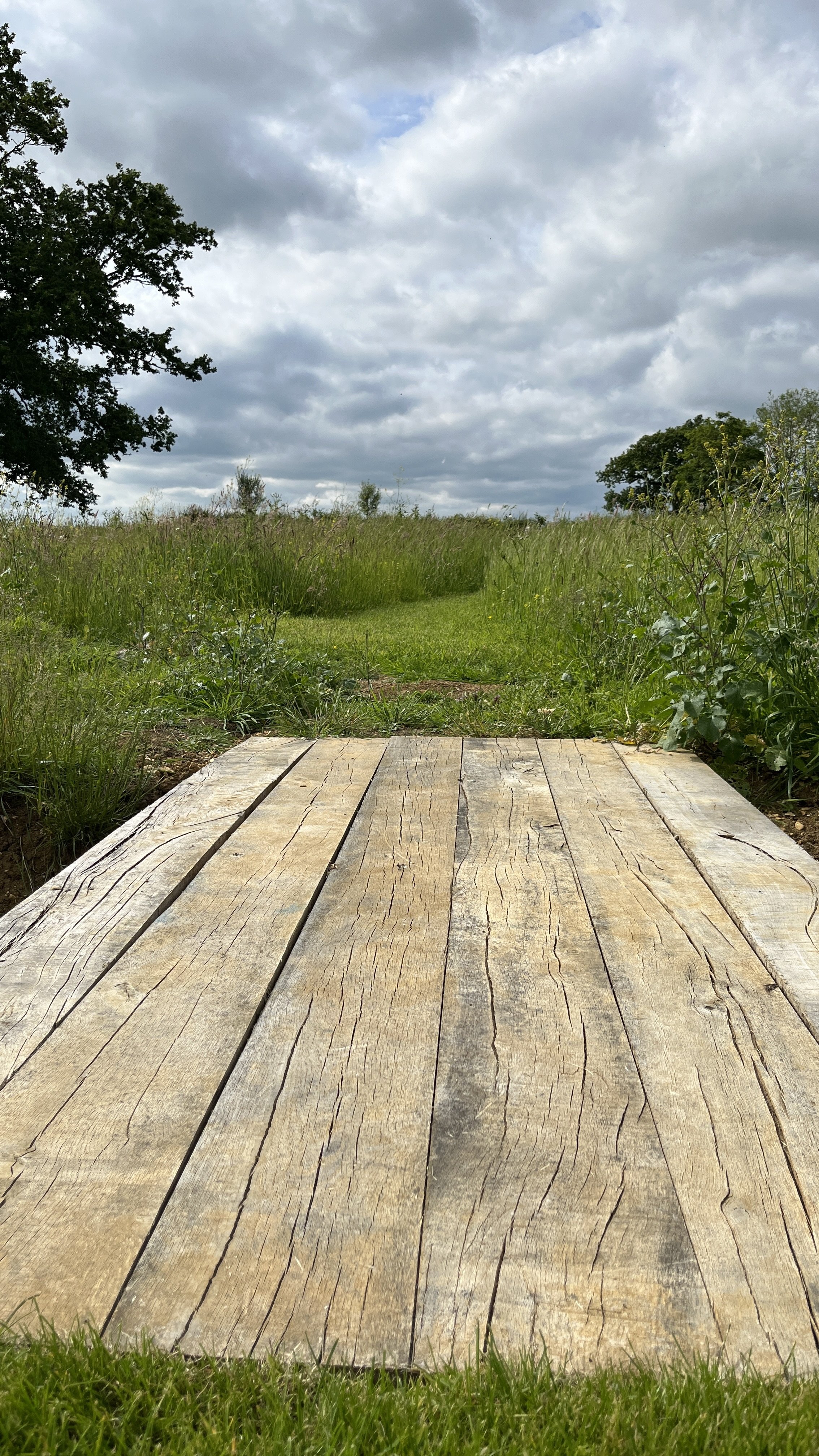 Rustic wooden bridge in grassy field with tall wild grasses on each side and a cloudy sky overhead.