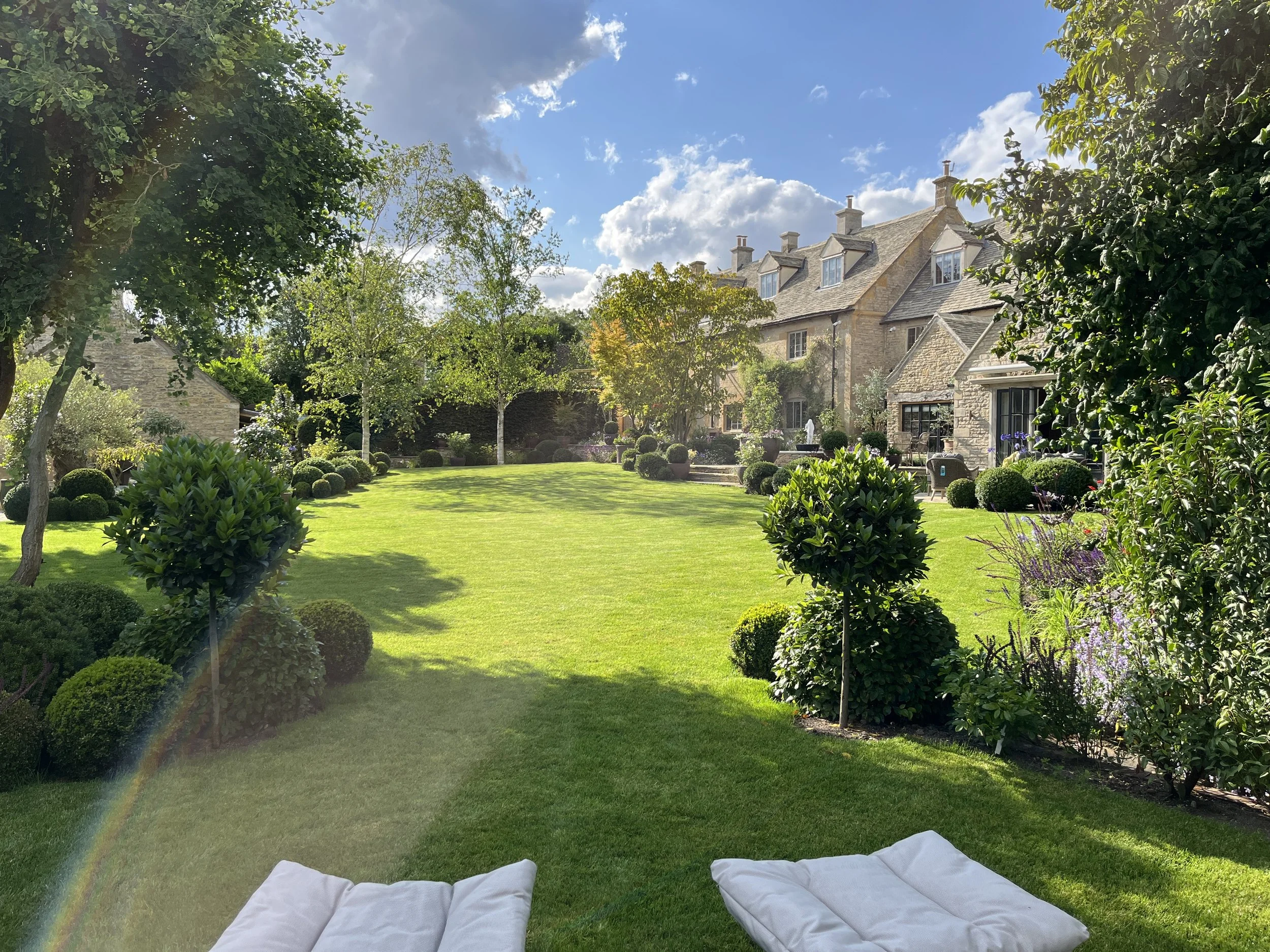 Framed garden view.jpeg