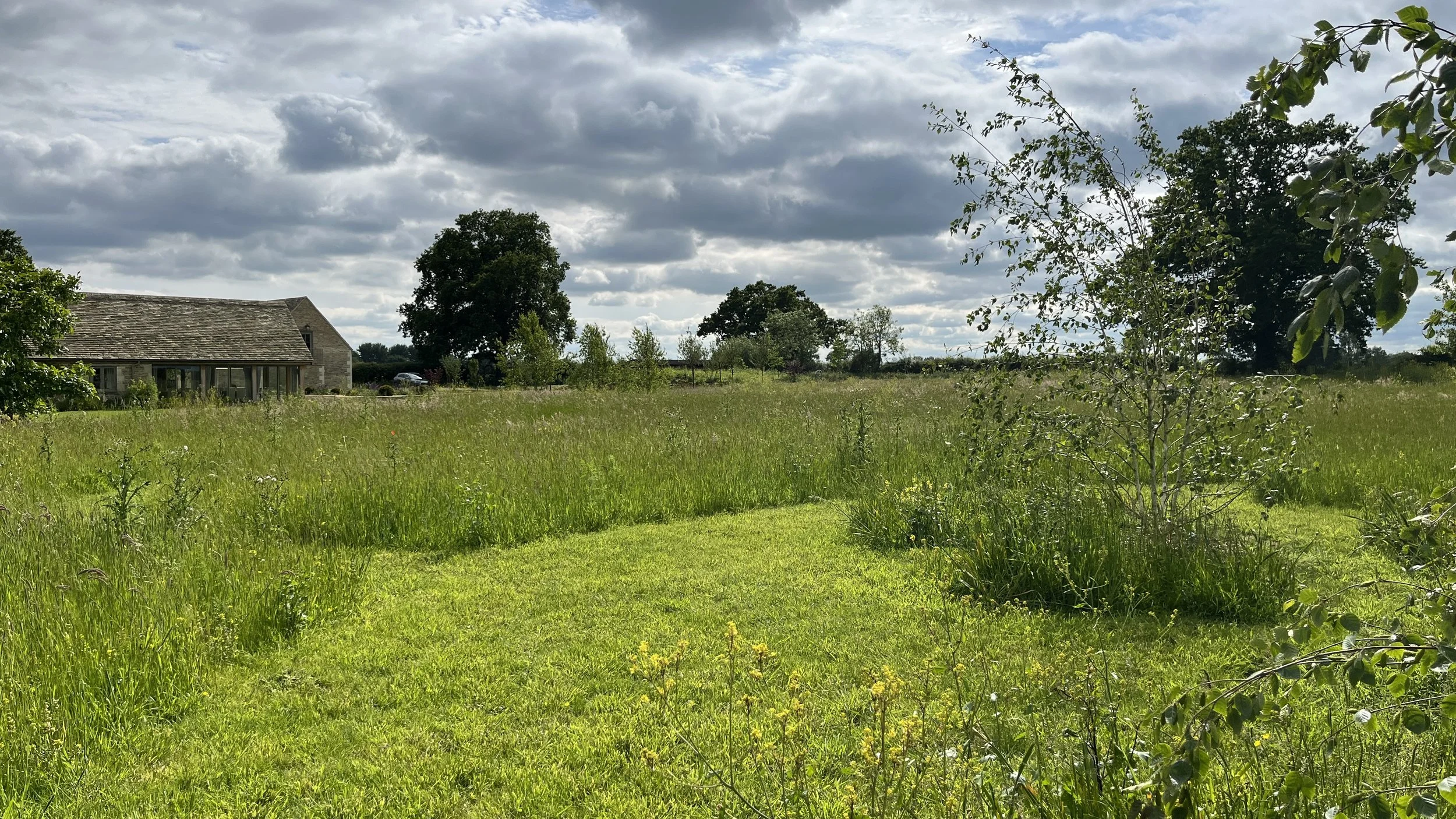 Looking back from the meadow.jpeg
