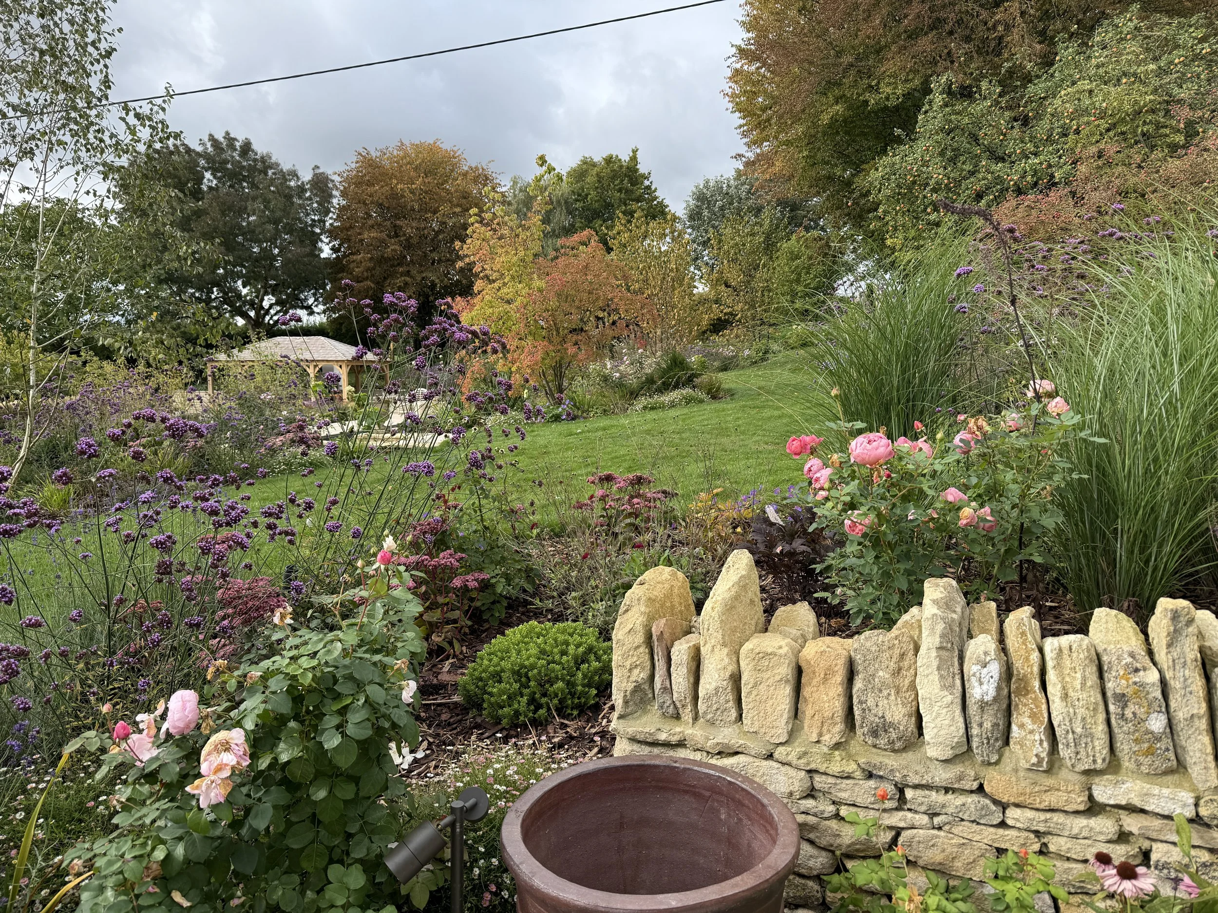 Drystone retaining wall with roses from the terrace looking towards the pool pavilion