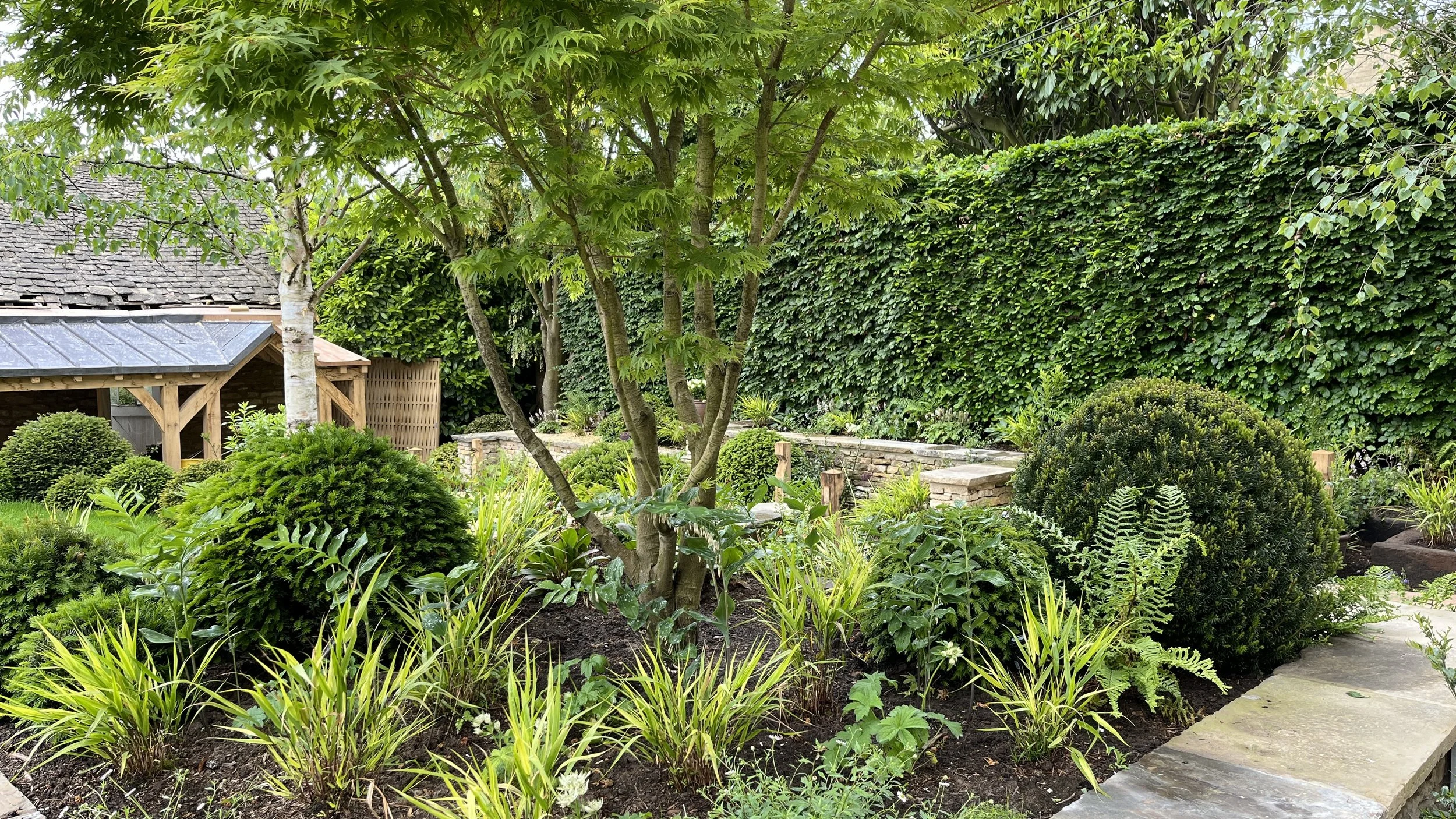 Lush green garden with various shrubs, trees, and a stone path.