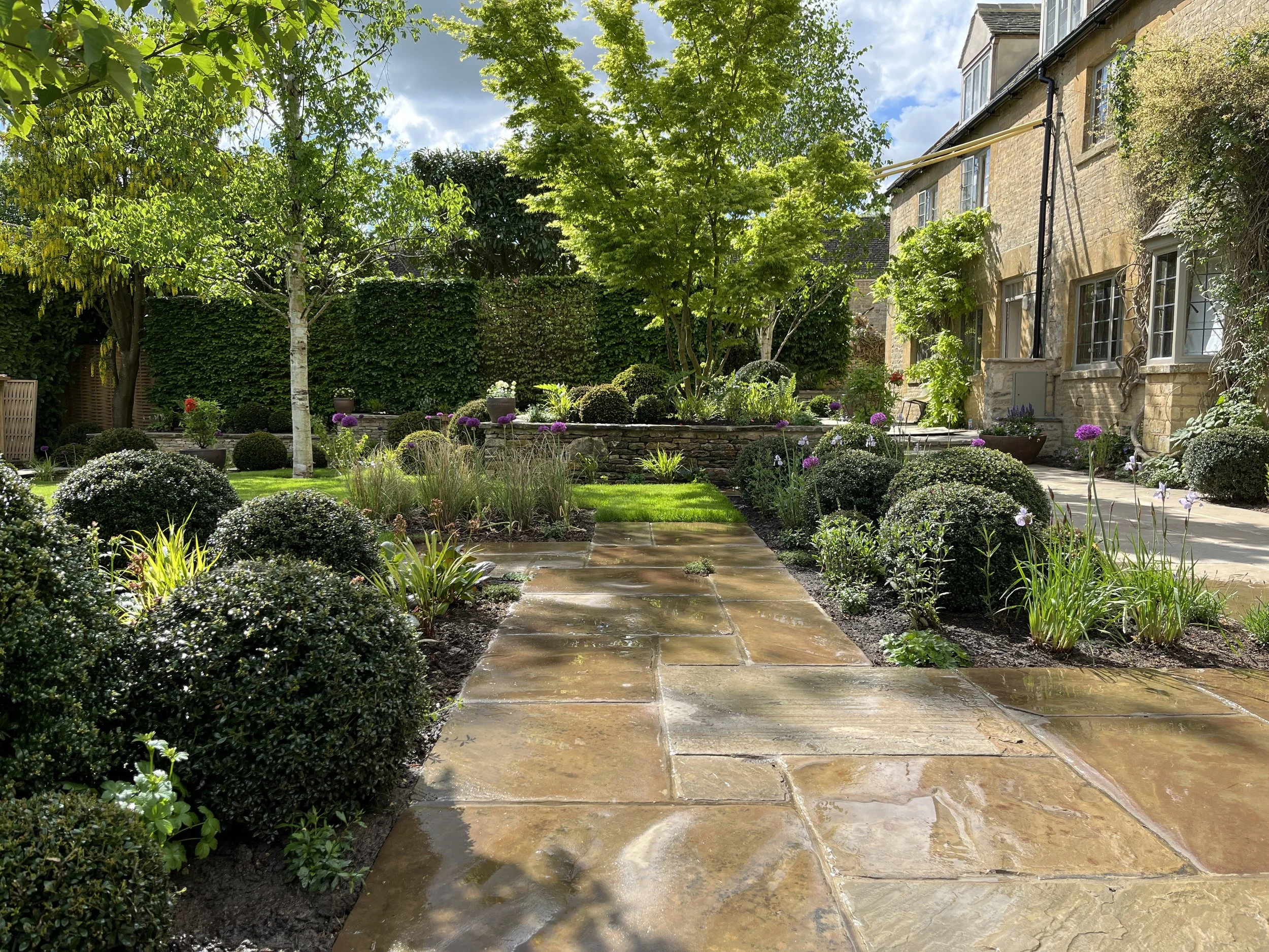 Cotswold garden Yorkstone paving trees topiary grasses