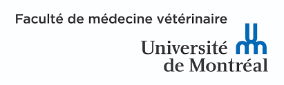 udm-medecine-veterinaire.webp