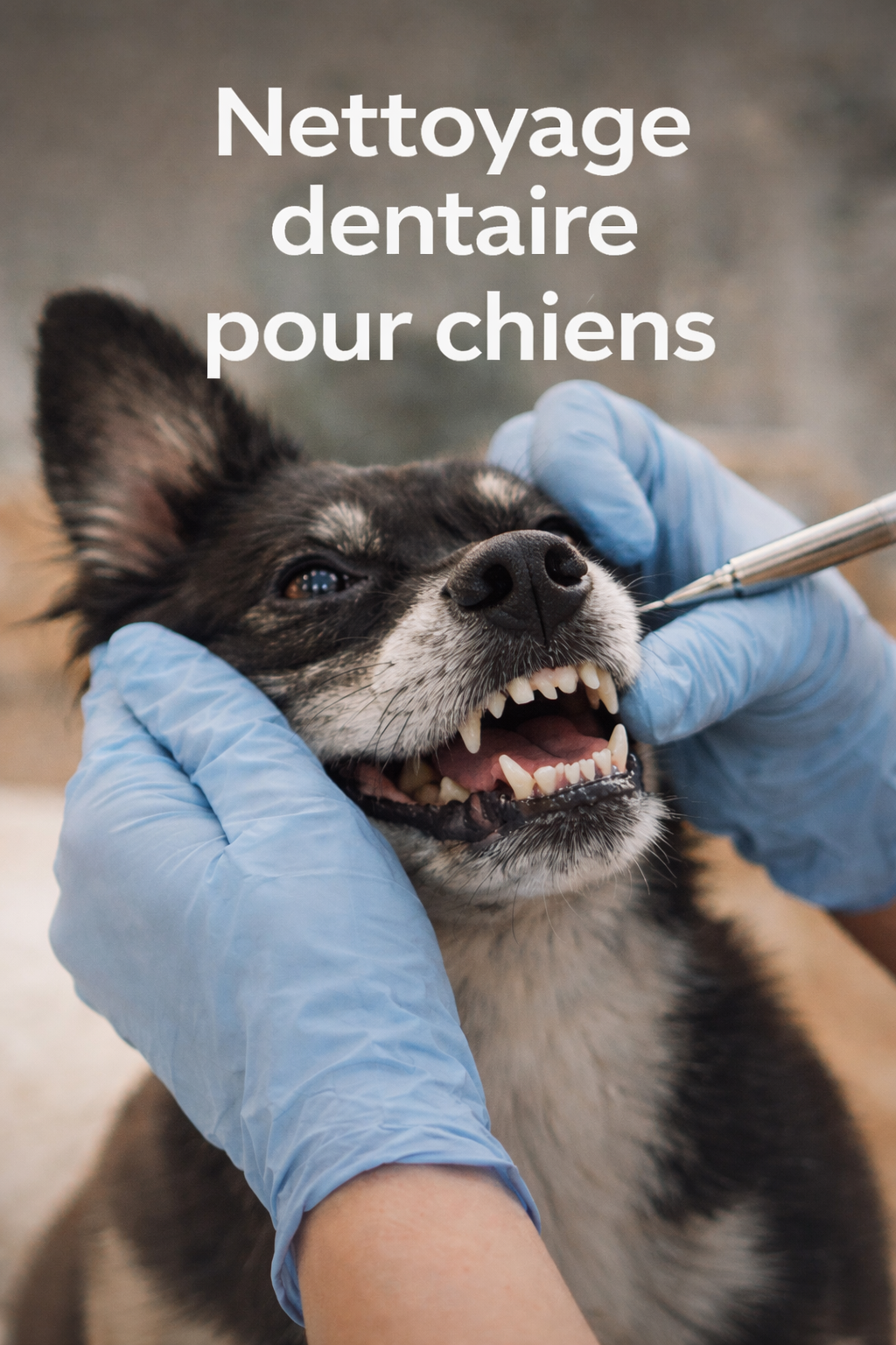 ChatGPT Image Mar 3, 2026, 01_15_51 PM.png