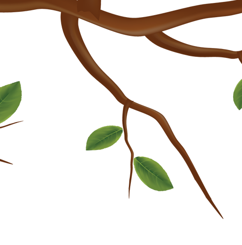 tree_even_29.png