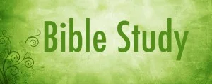 Each week we have separate Men's and Women's Bible studies, each led by one of our interns. From sharing personal testimonies, to digging deep into a specific book in God's Word, these studies have proven to be one of the best ways to get involved, grow your faith and deepen relationships.