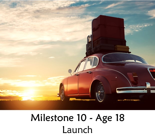 Milestone 10