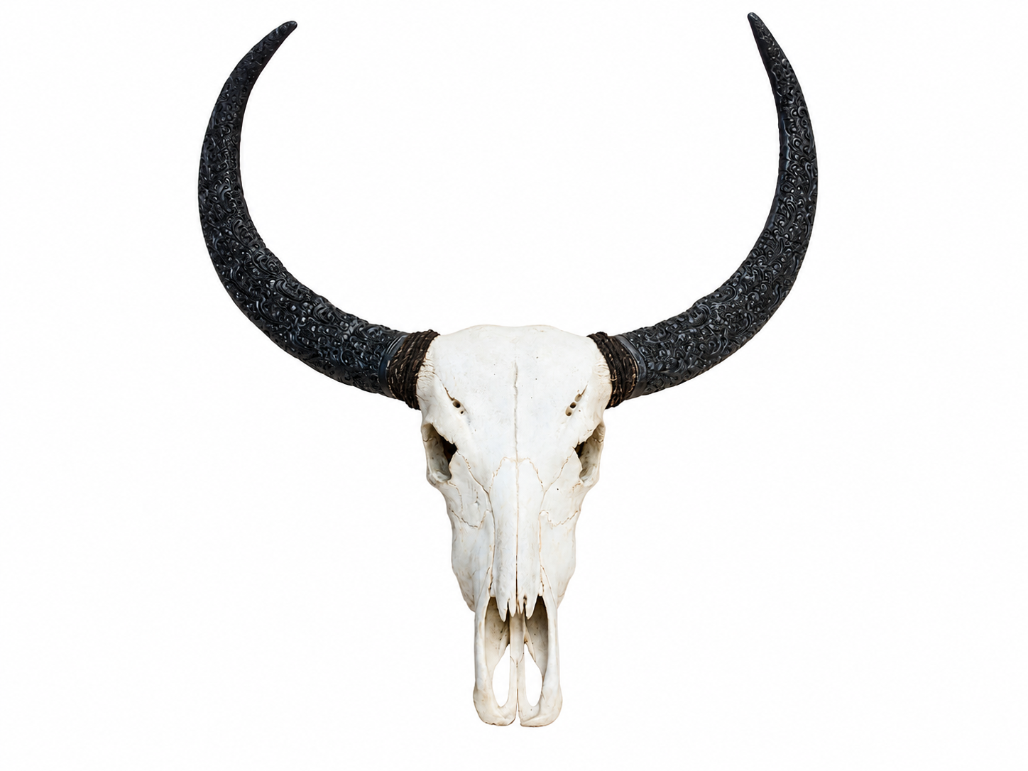 White Skull w Intricate Carved Horns