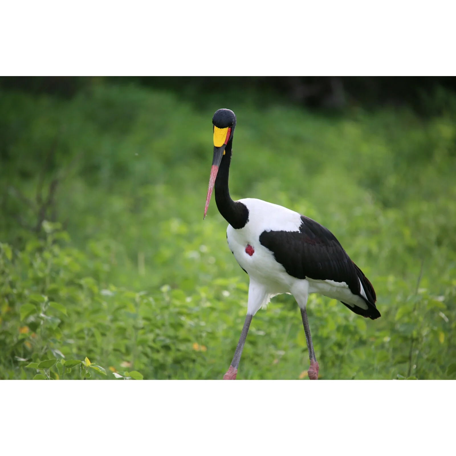 2015-01-06 01.49.10 11420570188000.jpg