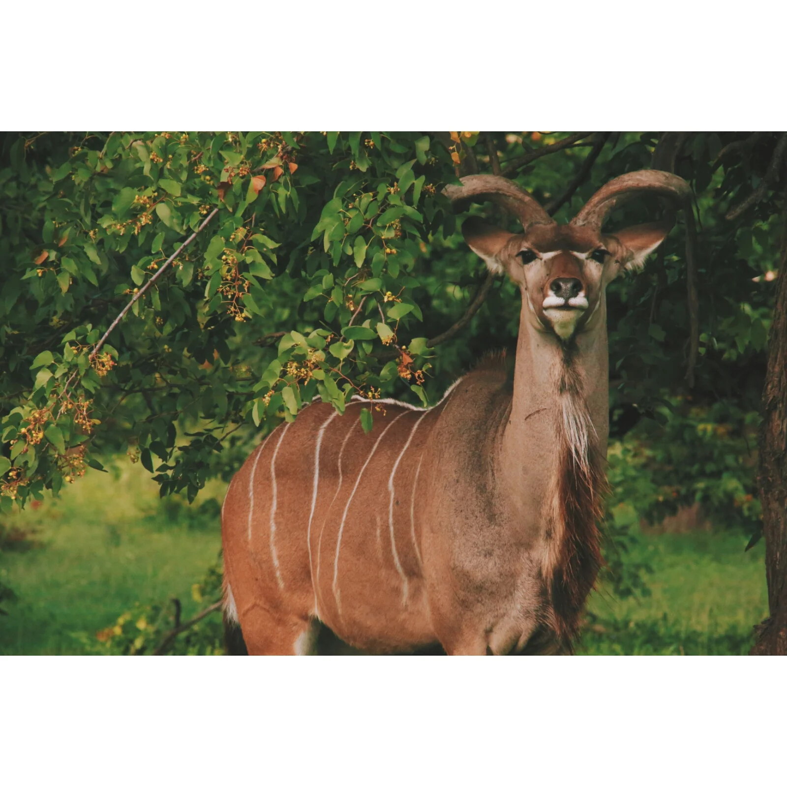 2015-01-13 10.37.10 11421174025417.jpg