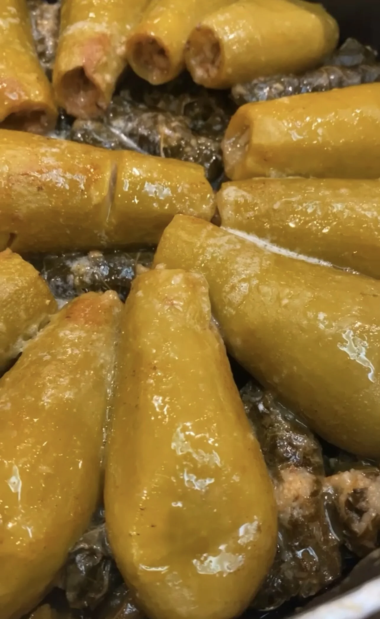 72F27DBE-5282-4A4C-9EE7-B4D52C472028