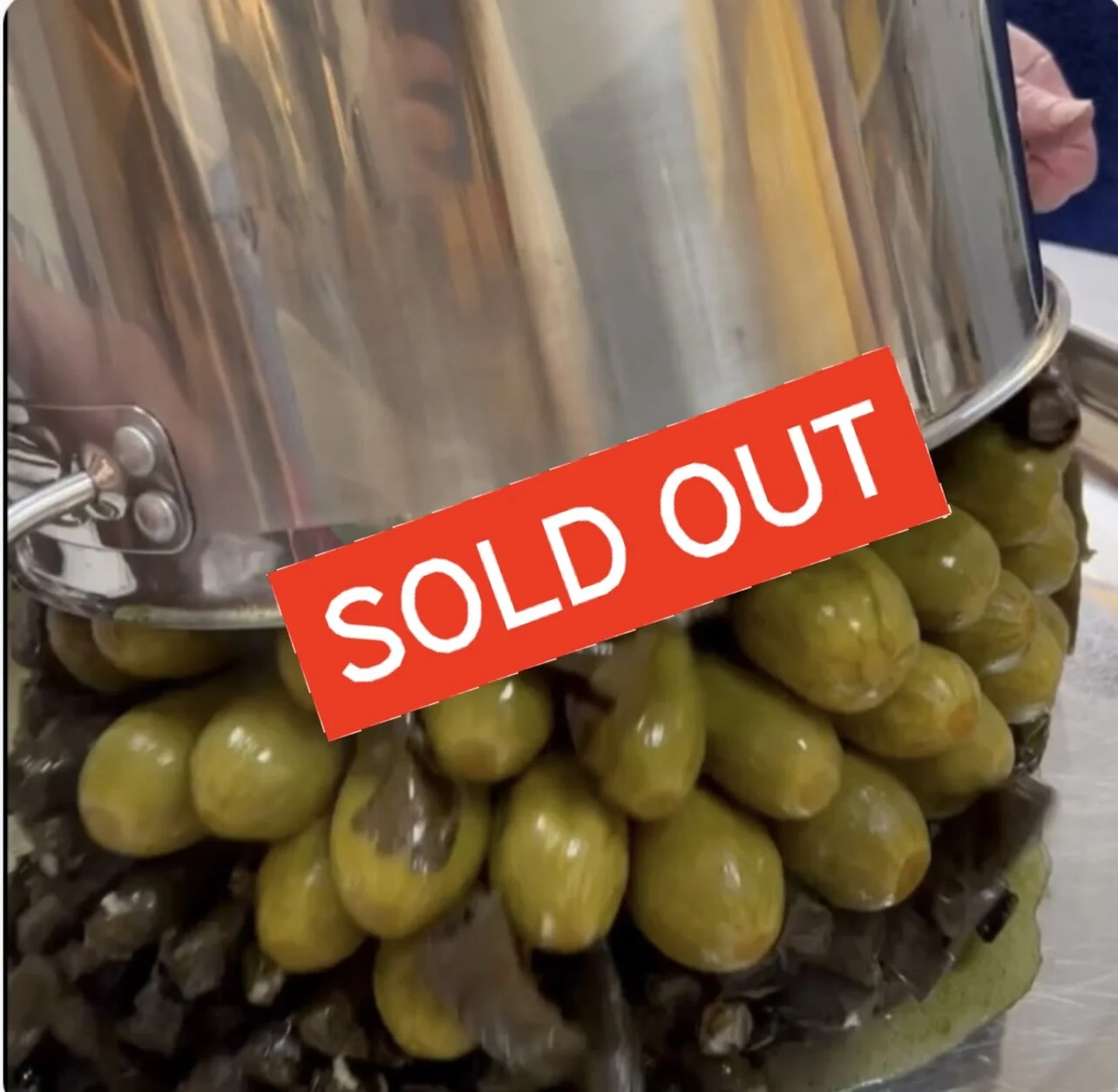 9114C73C-DBC4-439A-90B2-F4FD8EDB8C69