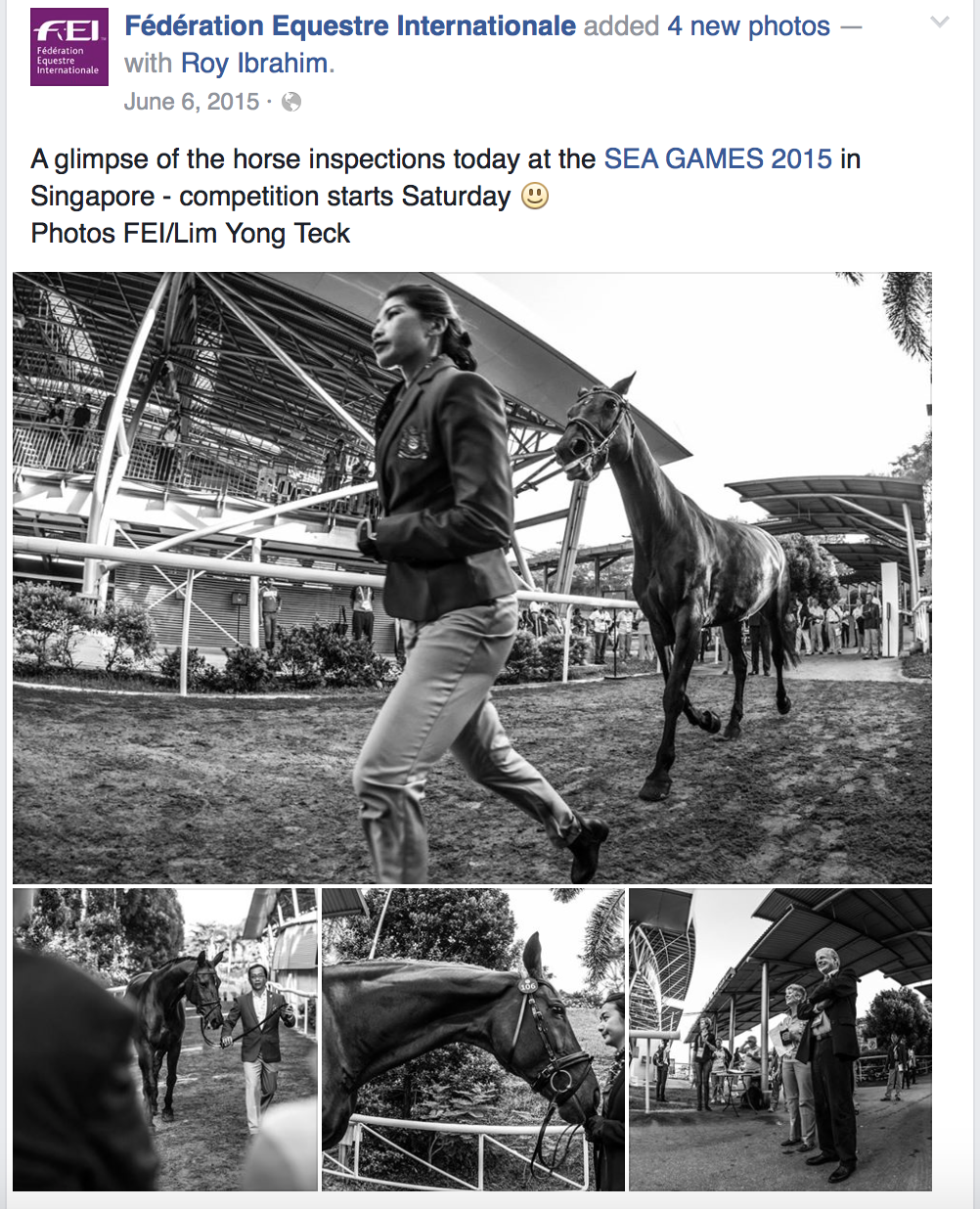 28th Southeast Asian Games for Fédérationa Equestre Internationale (www.fei.org)