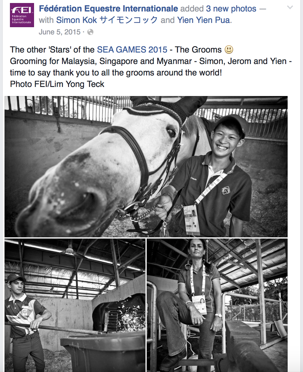 28th Southeast Asian Games for Fédérationa Equestre Internationale (www.fei.org)
