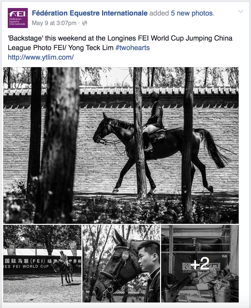  FEI World Cup Jumping - China League for Fédération Equestre Internationale (www.fei.org) 