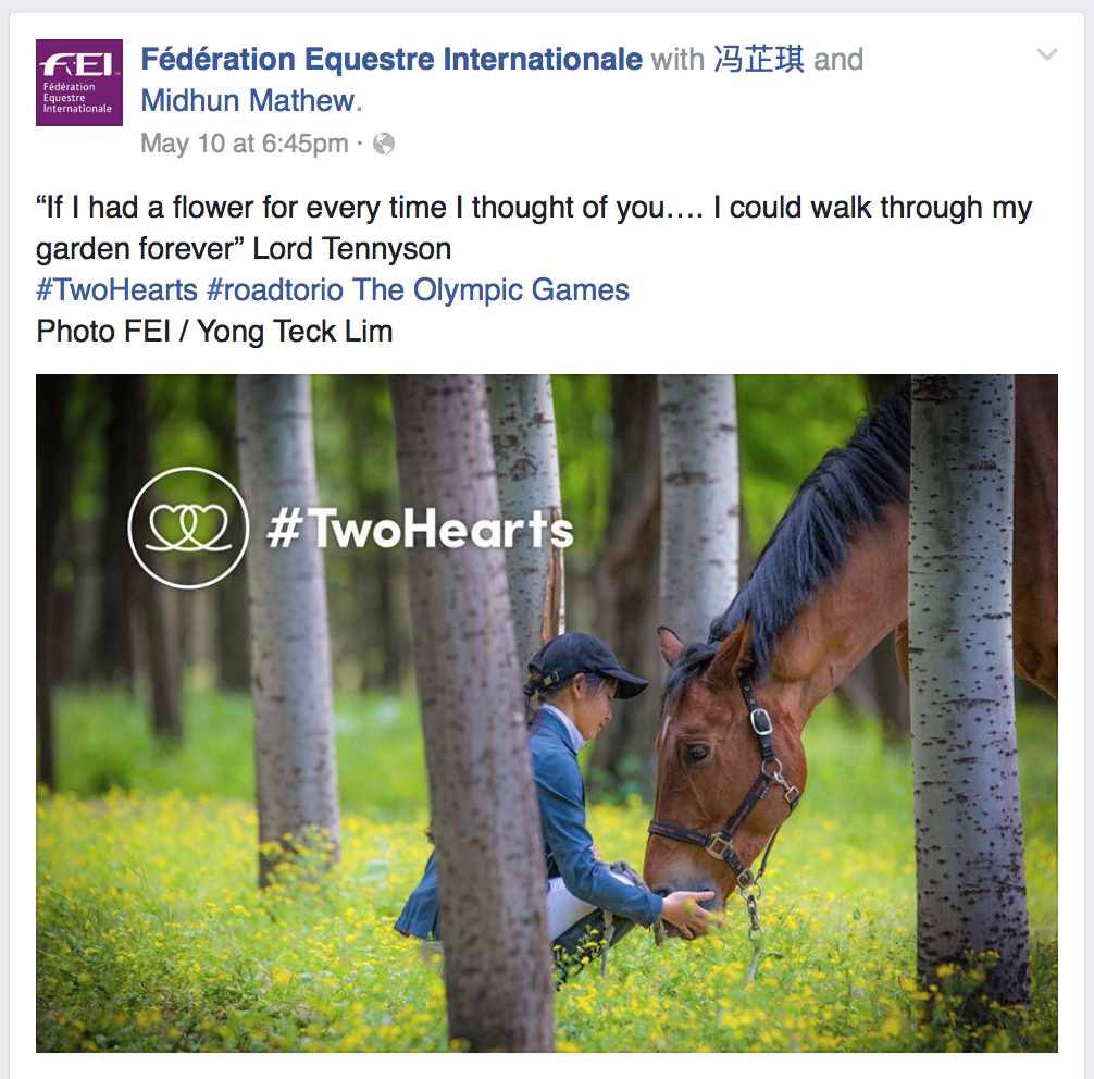  FEI World Cup Jumping - China League for Fédération Equestre Internationale (www.fei.org) 