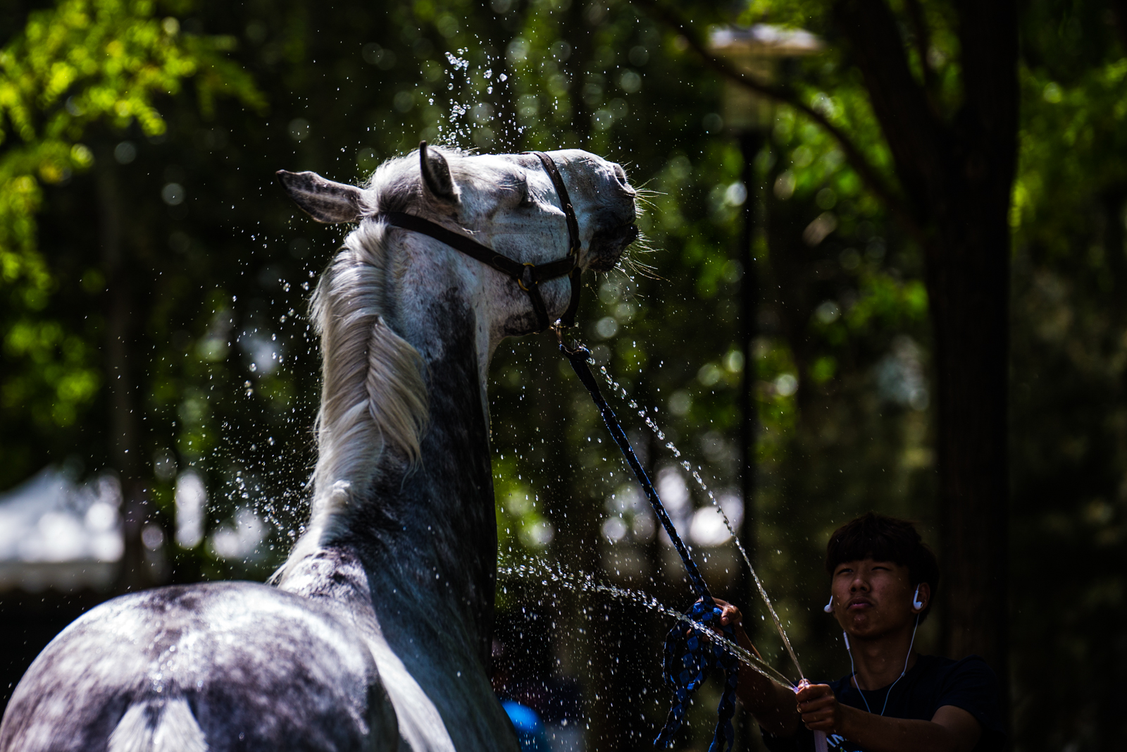 Longines FEI World Cup Jumping - China League at Chaoyang Park on May 6, 2016 in Beijing, China.