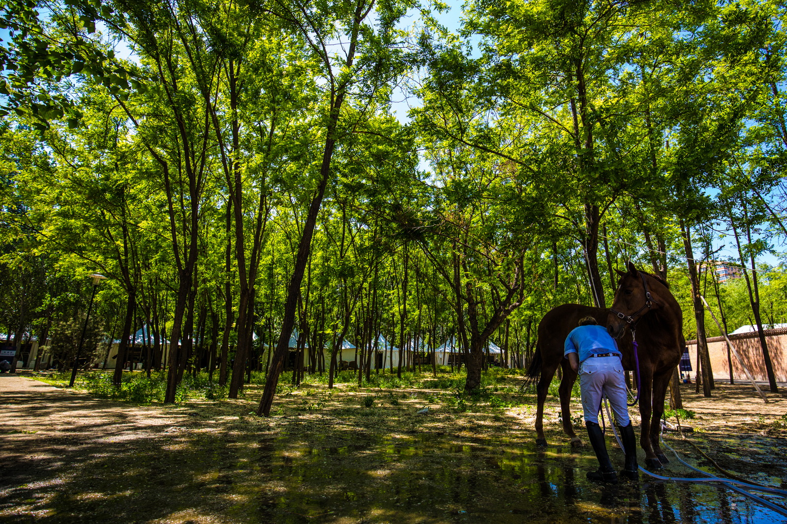 Longines FEI World Cup Jumping - China League at Chaoyang Park on May 3, 2016 in Beijing, China.