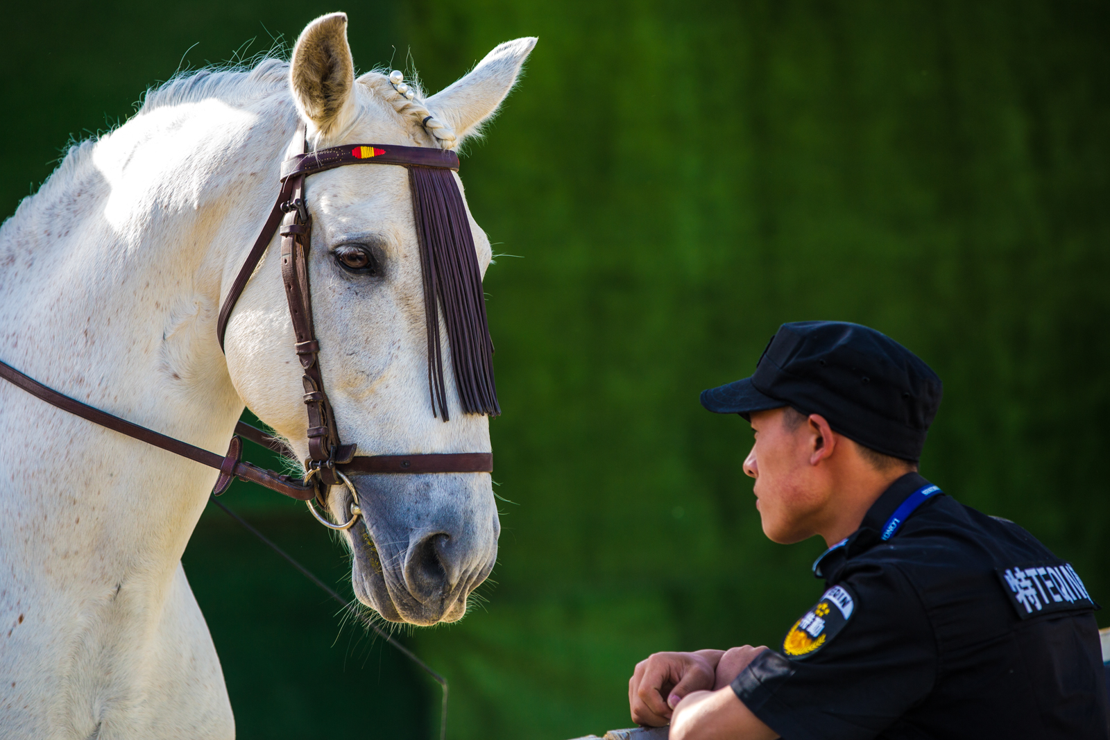 Longines FEI World Cup Jumping - China League at Chaoyang Park on May 3, 2016 in Beijing, China.
