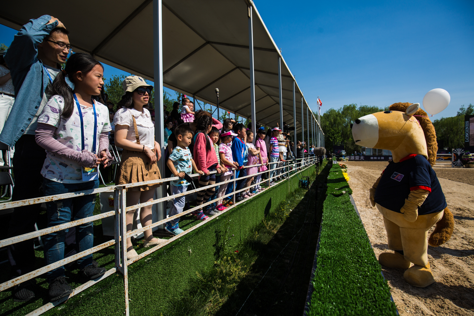 Horse inspection during the Longines FEI World Cup Jumping - China League at Chaoyang Park on May 7, 2016 in Beijing, China.