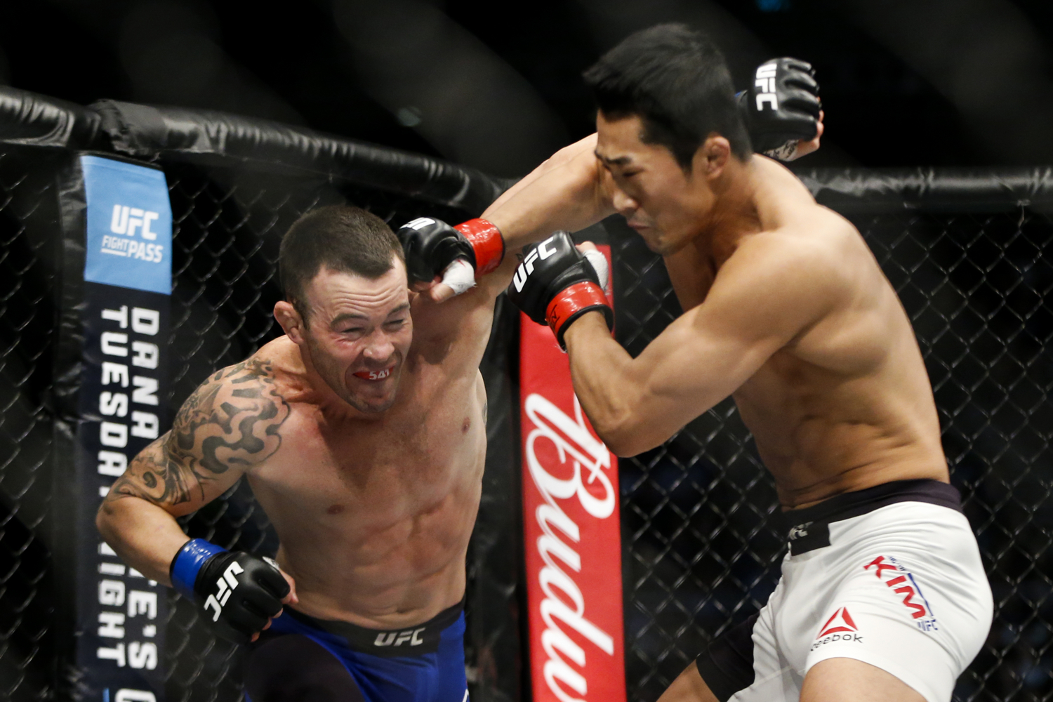  Colby Covington (L) of the United States fights with Dong Hyun Kim of South Korea during their welterweight bout at the UFC Fight Night at the Singapore Indoor Stadium on June 17, 2017. 