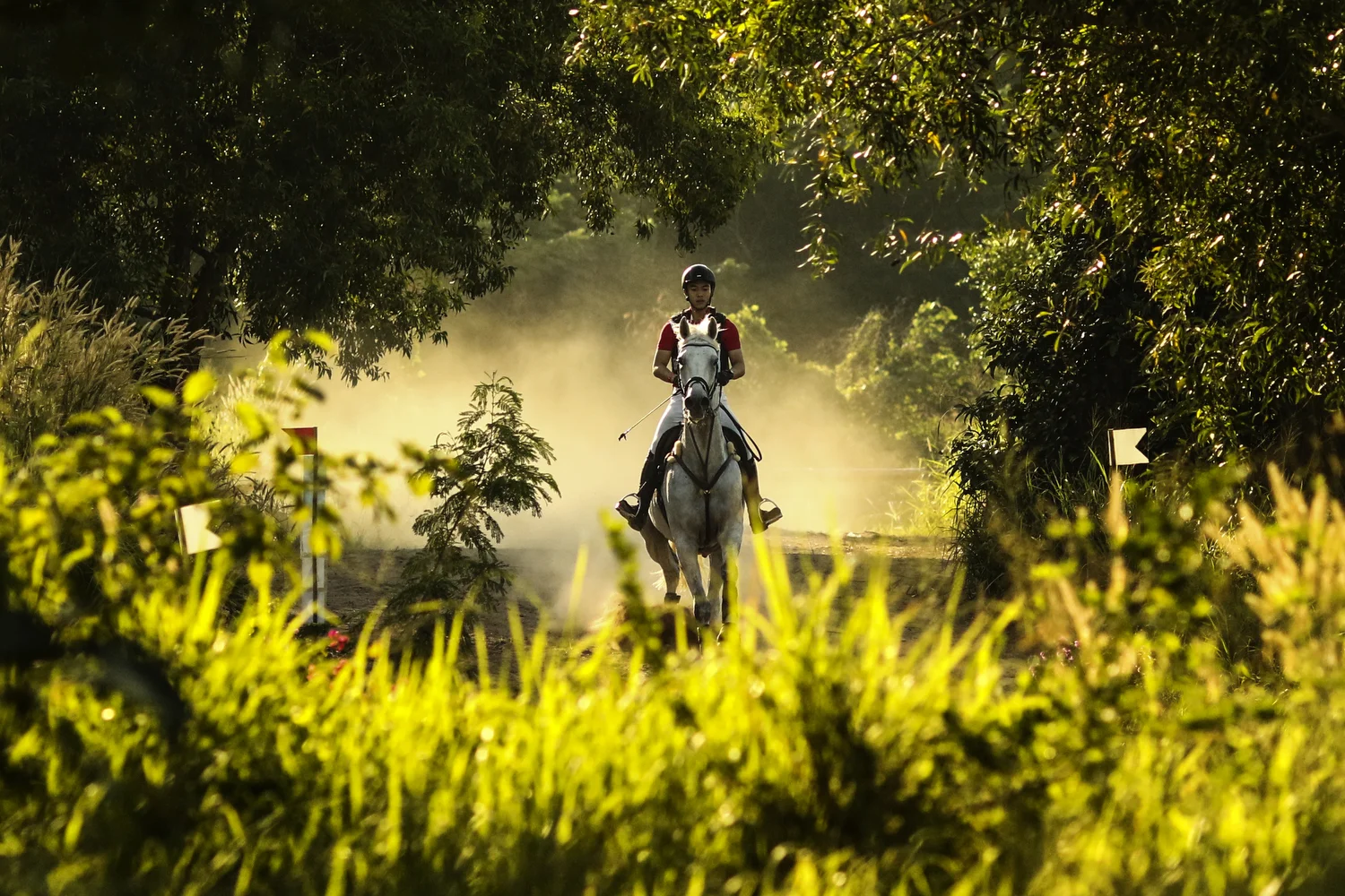 Supanut Wannakool of Thailand rides Luminous during the FEI Asia Eventing CCI1* Championship on December 9, 2017 in Pattaya, Thailand.