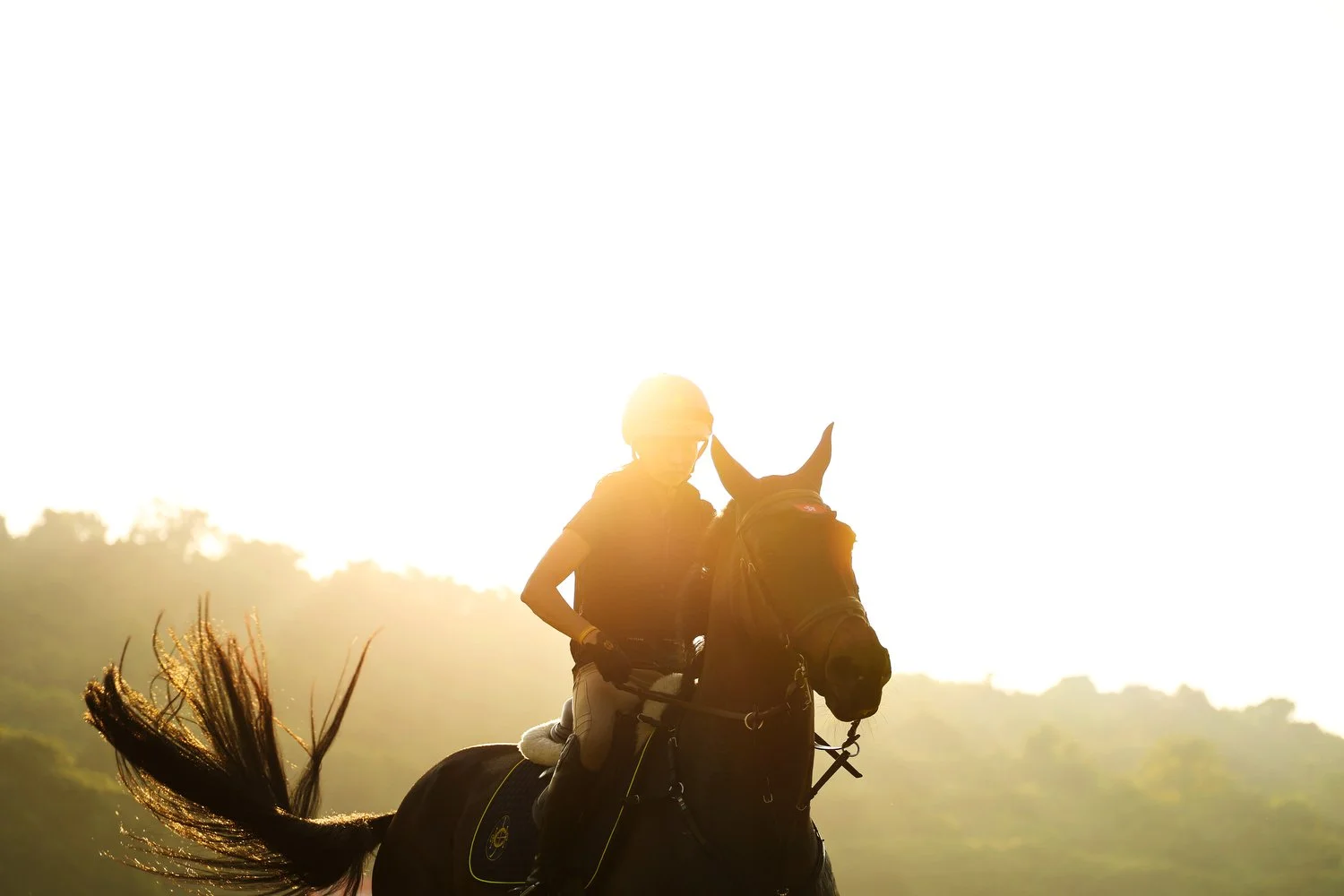  Annie Ho of Hong Kong, China, riding Evita AP in the eventing cross-country test during the FEI Asian Championships at the Thai Polo Club on December 2, 2025 in Pattaya, Thailand. (FEI/Yong Teck Lim) 
