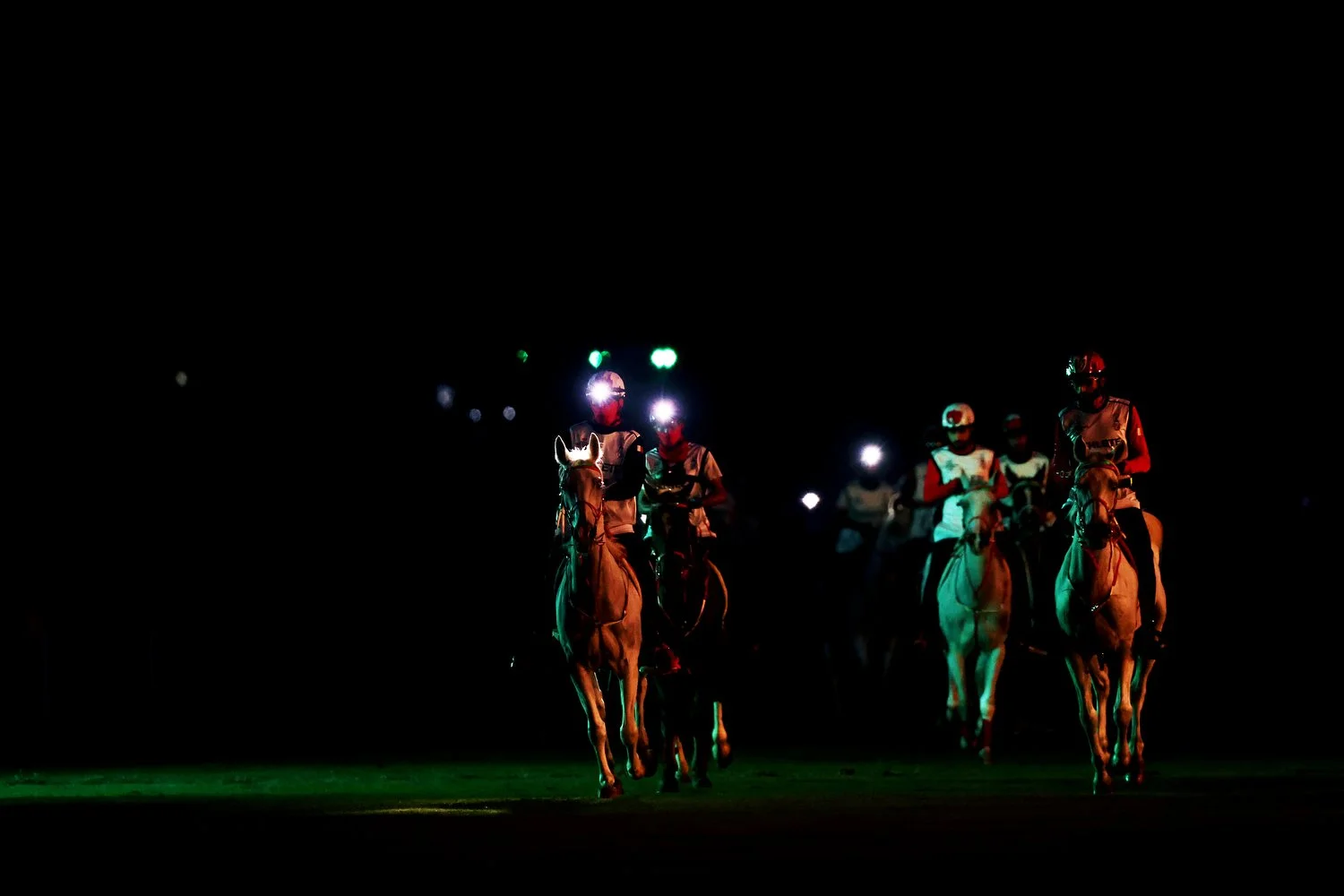  Sh. Mohamed Bin Mubarak Al Khalifa (L) of Bahrain riding Bolt De Venelles and HH Sh. Nasser Bin Hamad Al Khalifa (R) of Bahrain riding Everest La Majorie in the endurance individual and team championships during the FEI Asian Championships at the Th