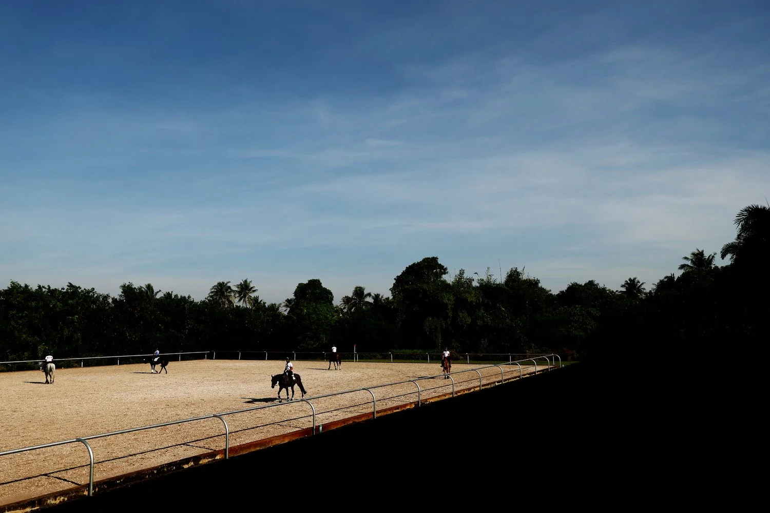  A general view of hacking during the FEI Asian Championships at the Thai Polo Club on November 26, 2025 in Pattaya, Thailand. (FEI/Yong Teck Lim) 
