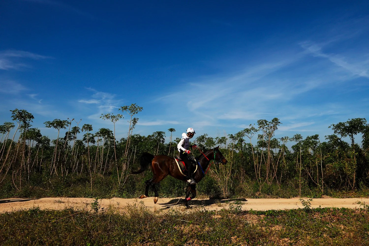  Yi He of China riding Al Ral in the endurance individual and team championships during the FEI Asian Championships at the Thai Polo Club on November 2, 2025 in Pattaya, Thailand. (FEI/Yong Teck Lim) 