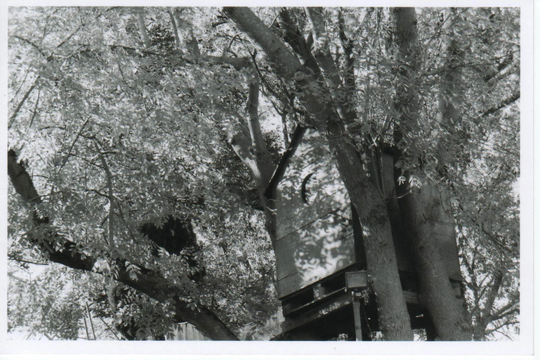 untitled 14.jpg