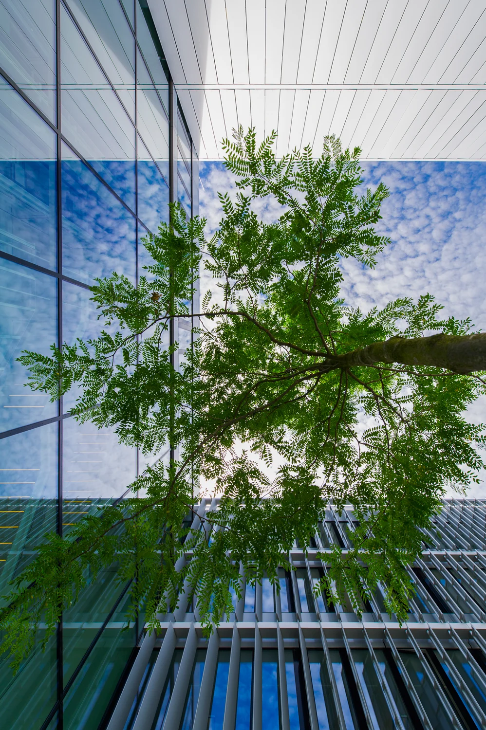JSWD Architekten_Enervie Hagen