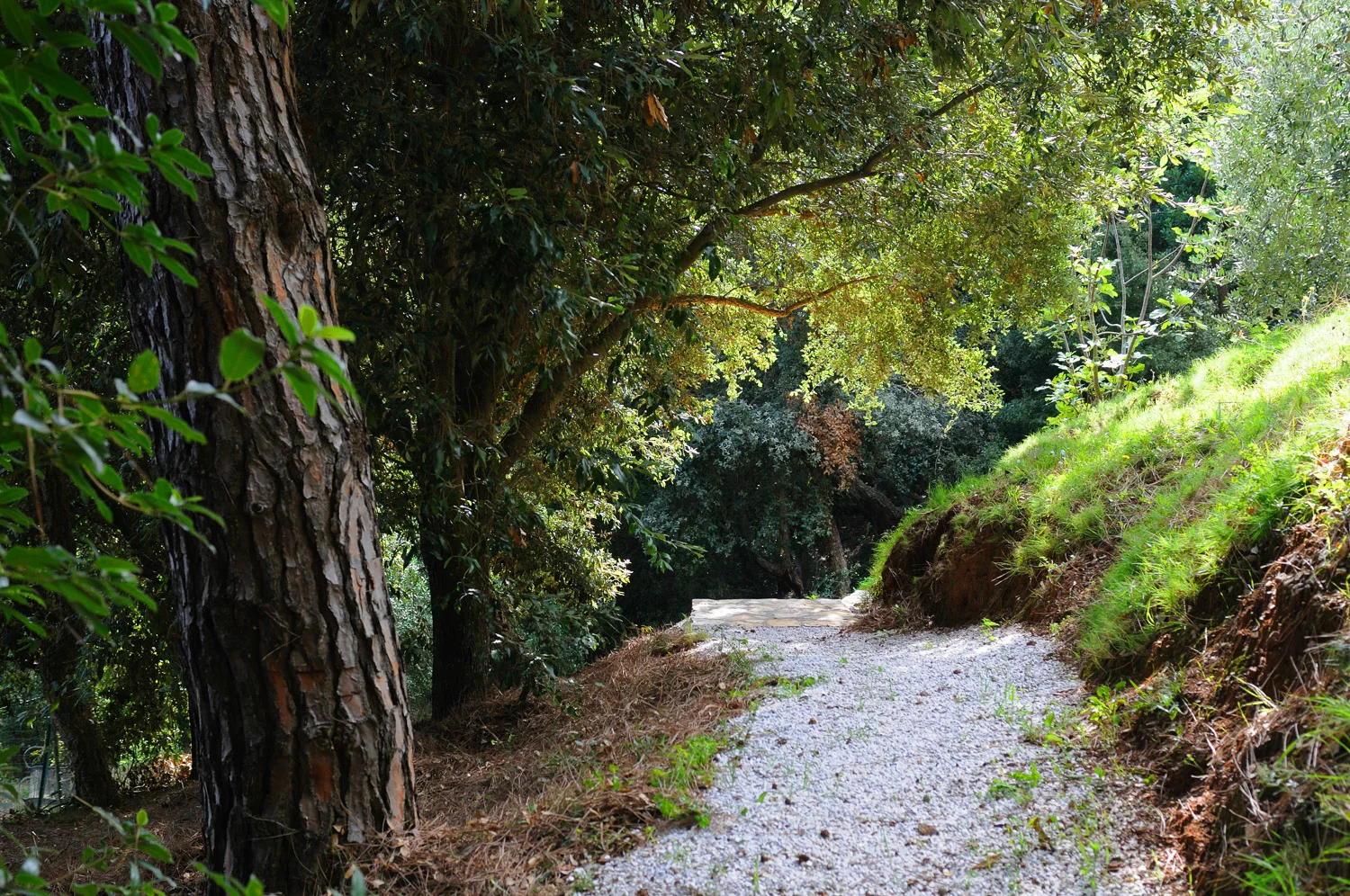 DSC_9187.1.jpg