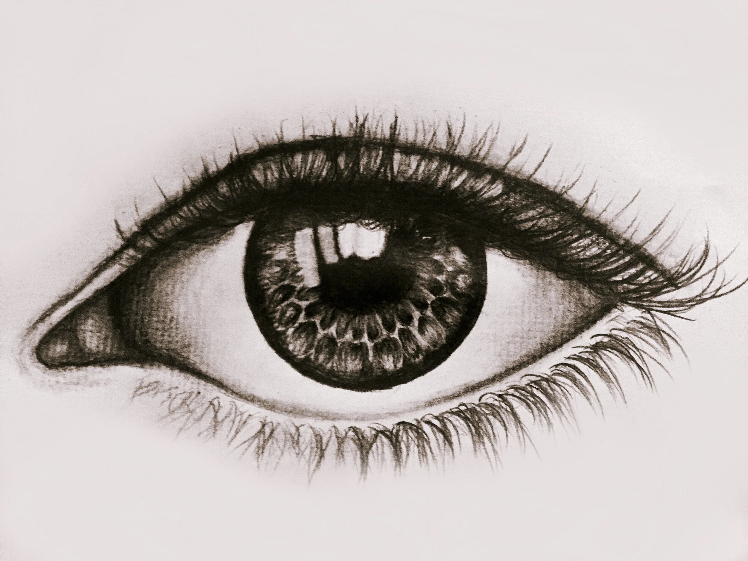 Eyeball study