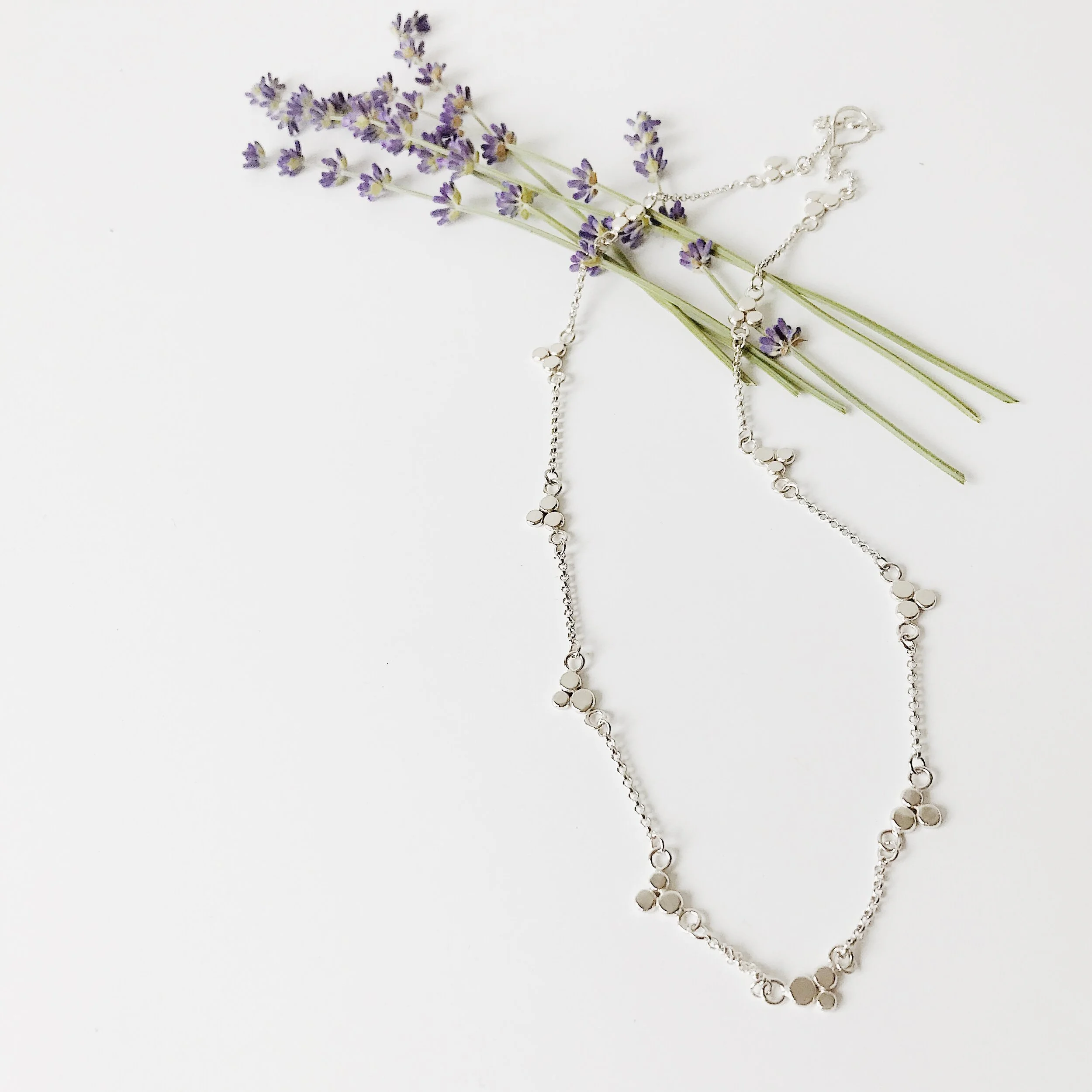 43F6D1C2-E30B-4891-AF25-9F20E9188331